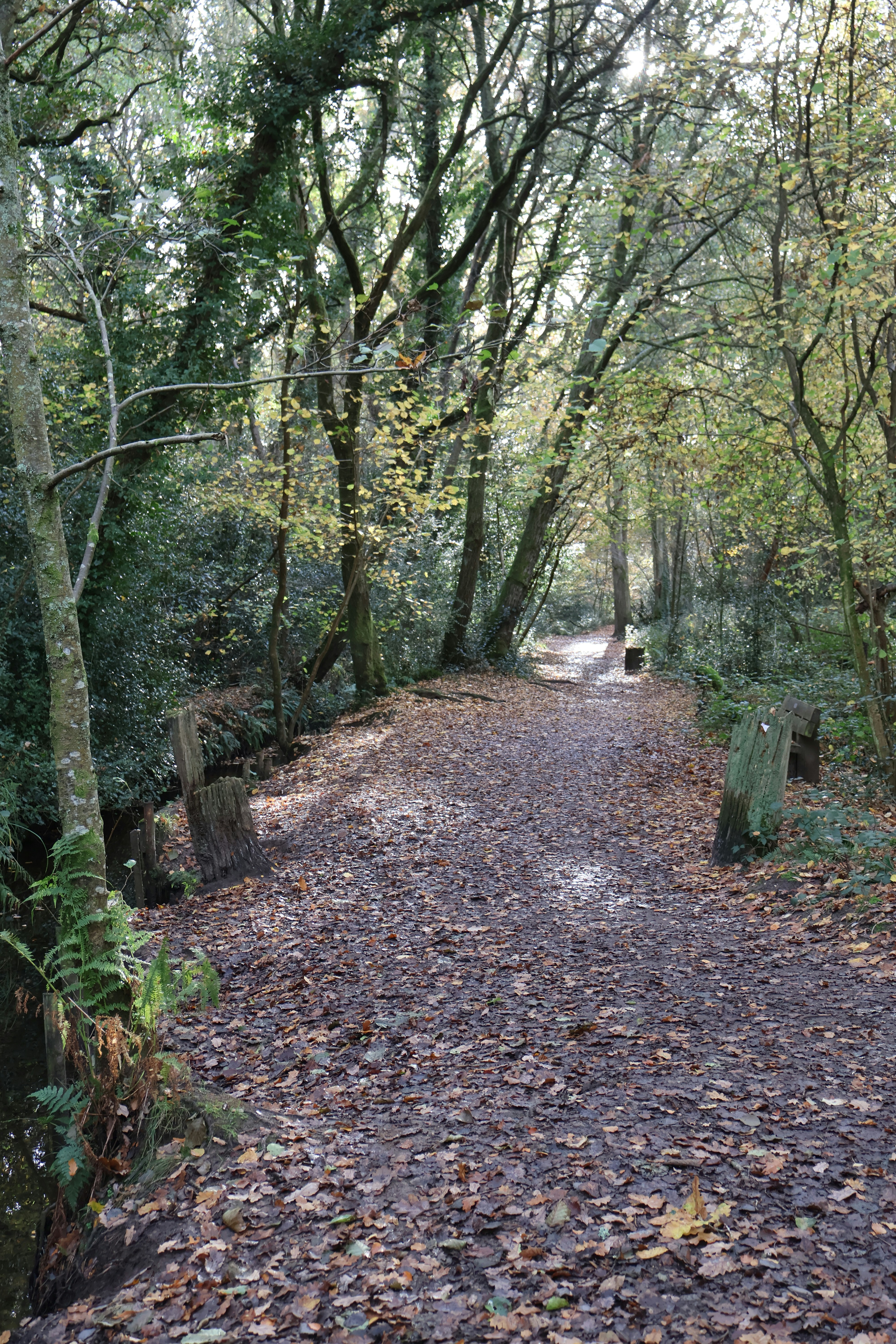 Photo by tanyabarrow