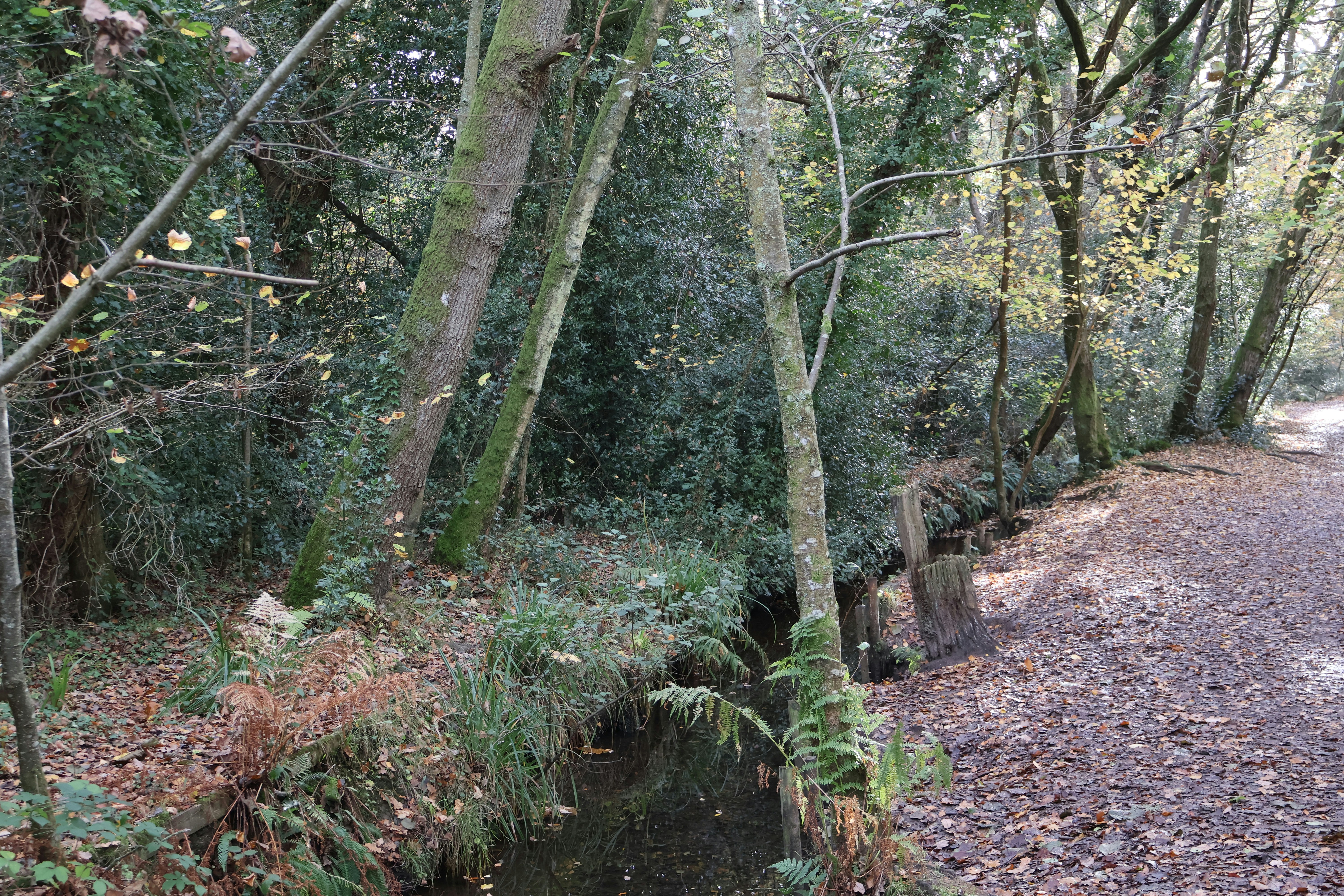 Photo by tanyabarrow