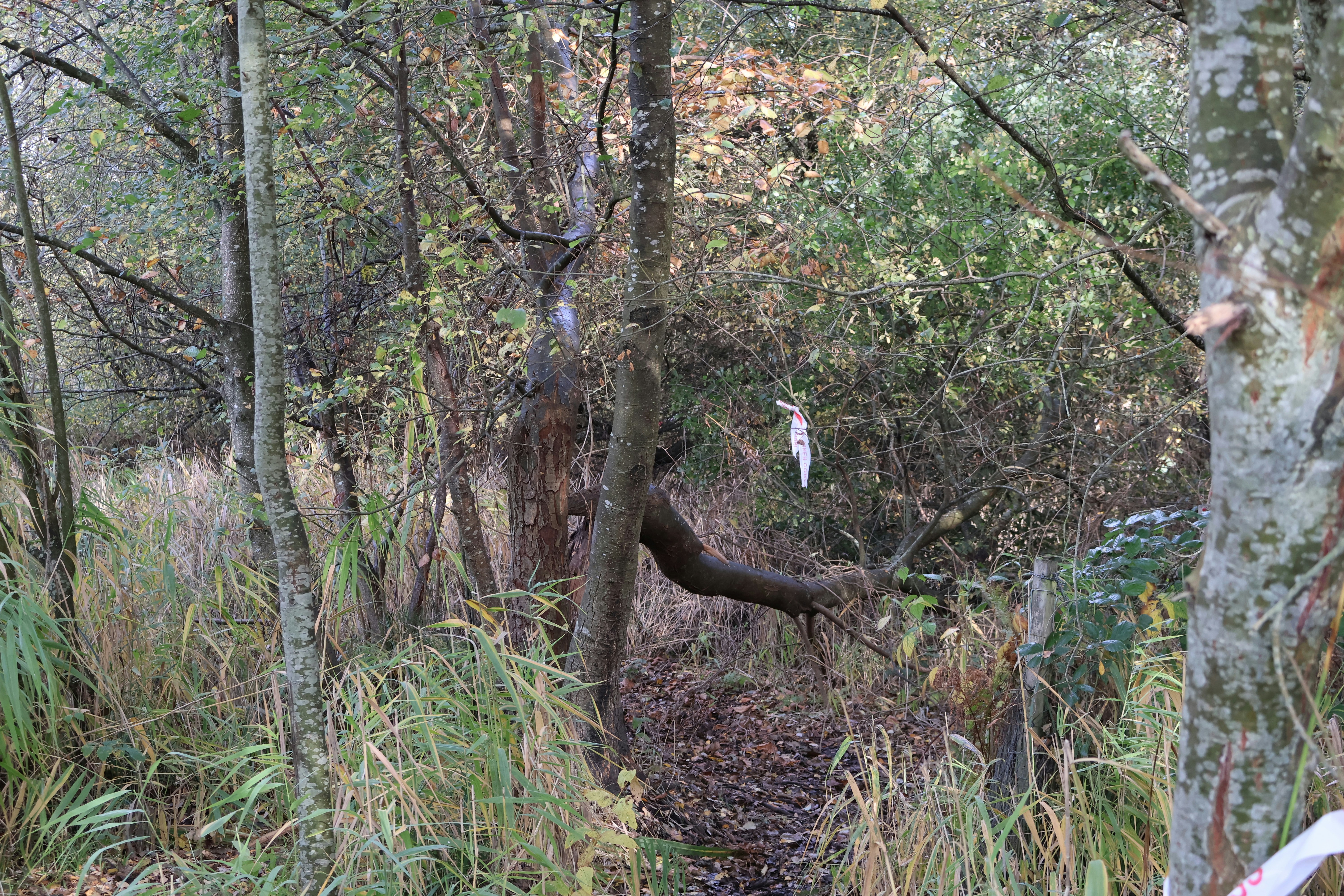 Photo by tanyabarrow