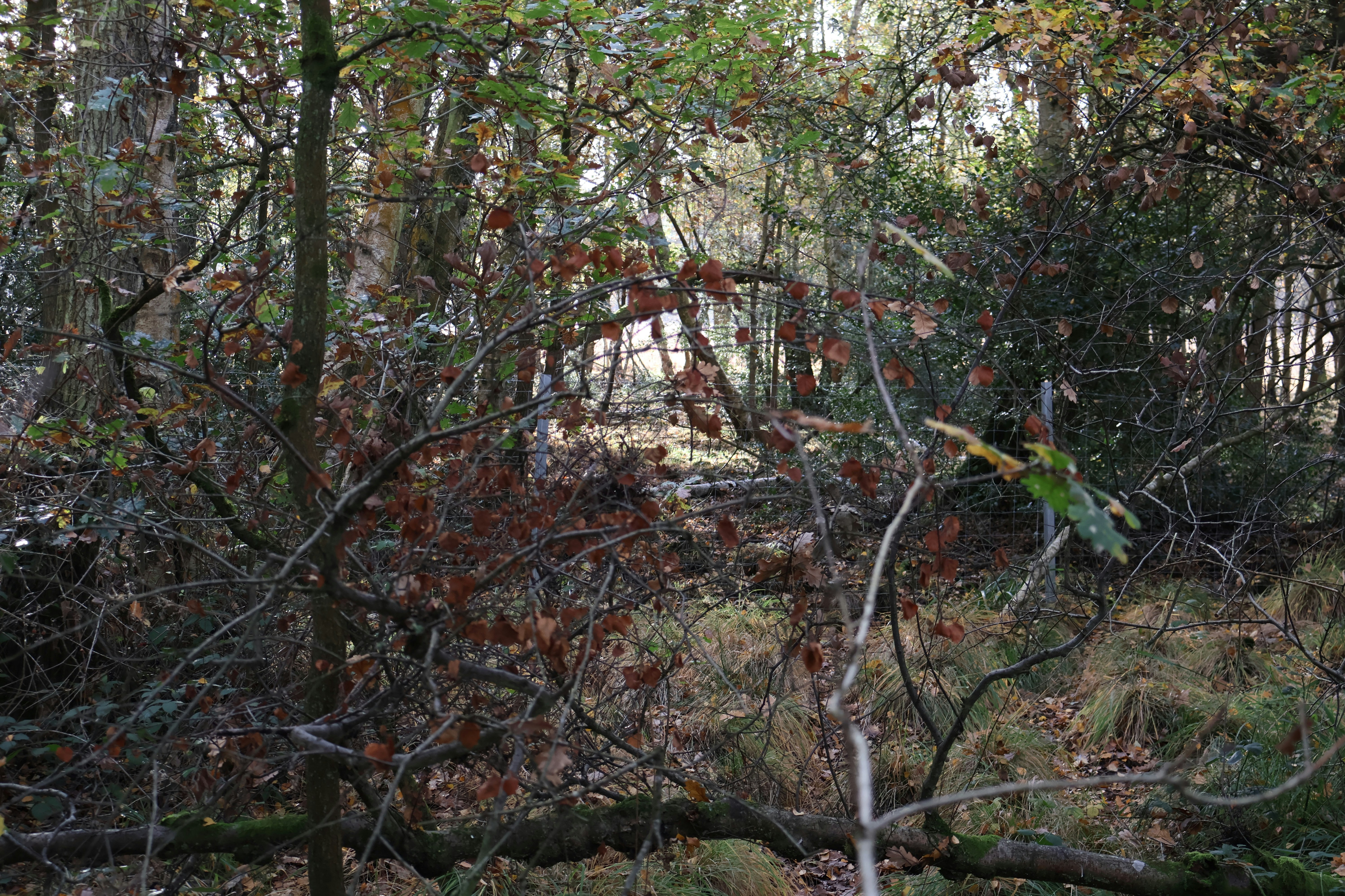 Photo by tanyabarrow