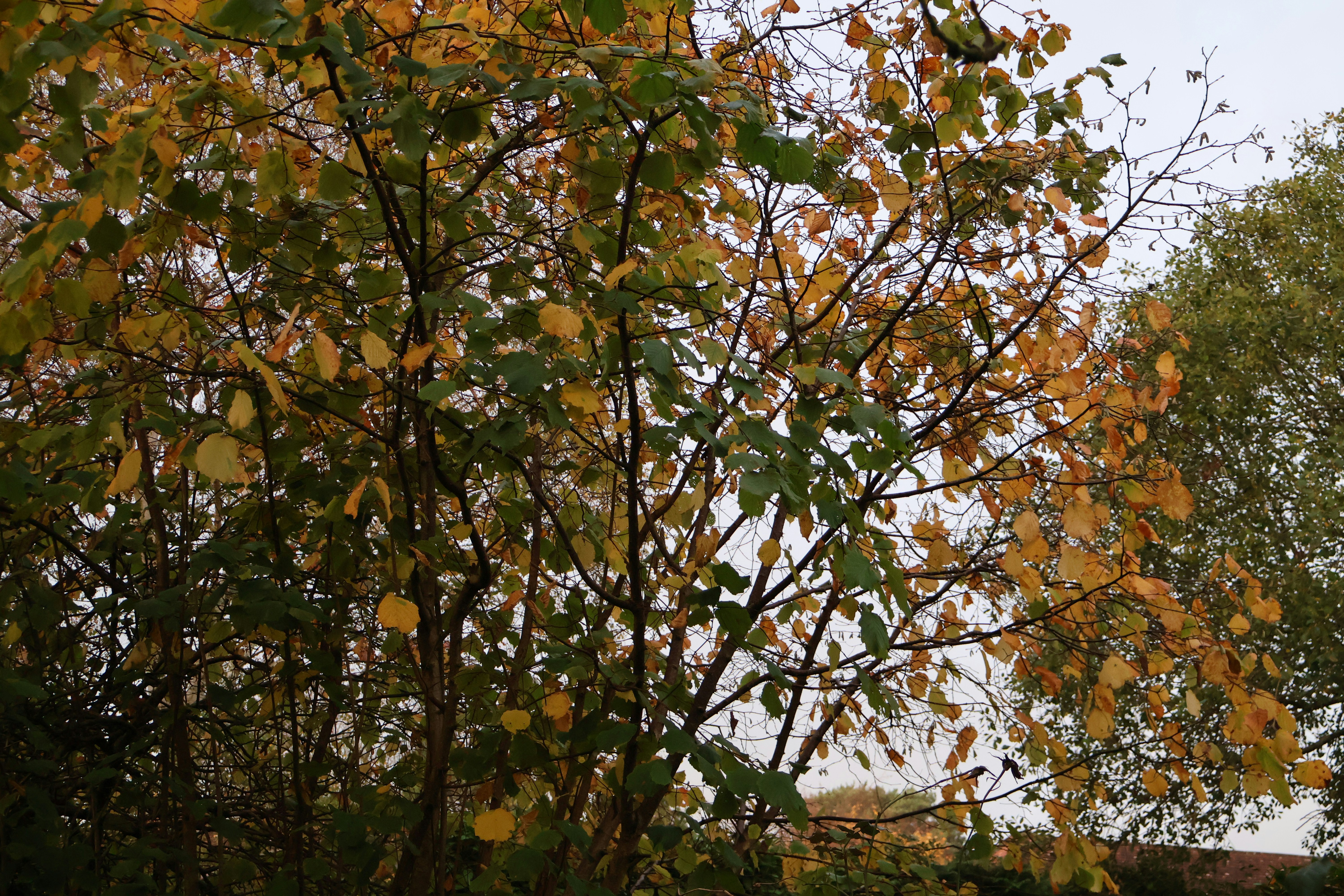 Photo by tanyabarrow