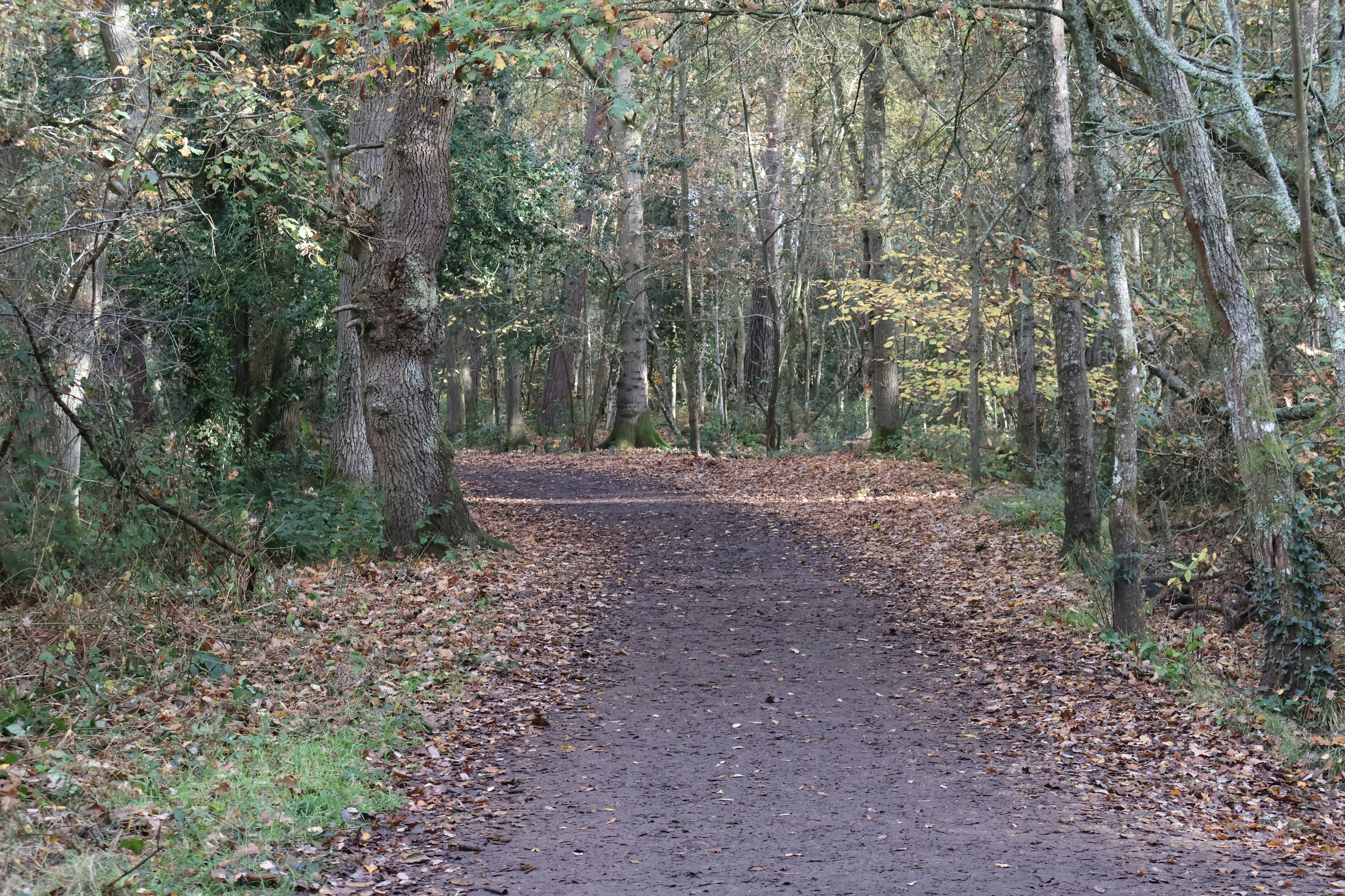 Photo by tanyabarrow