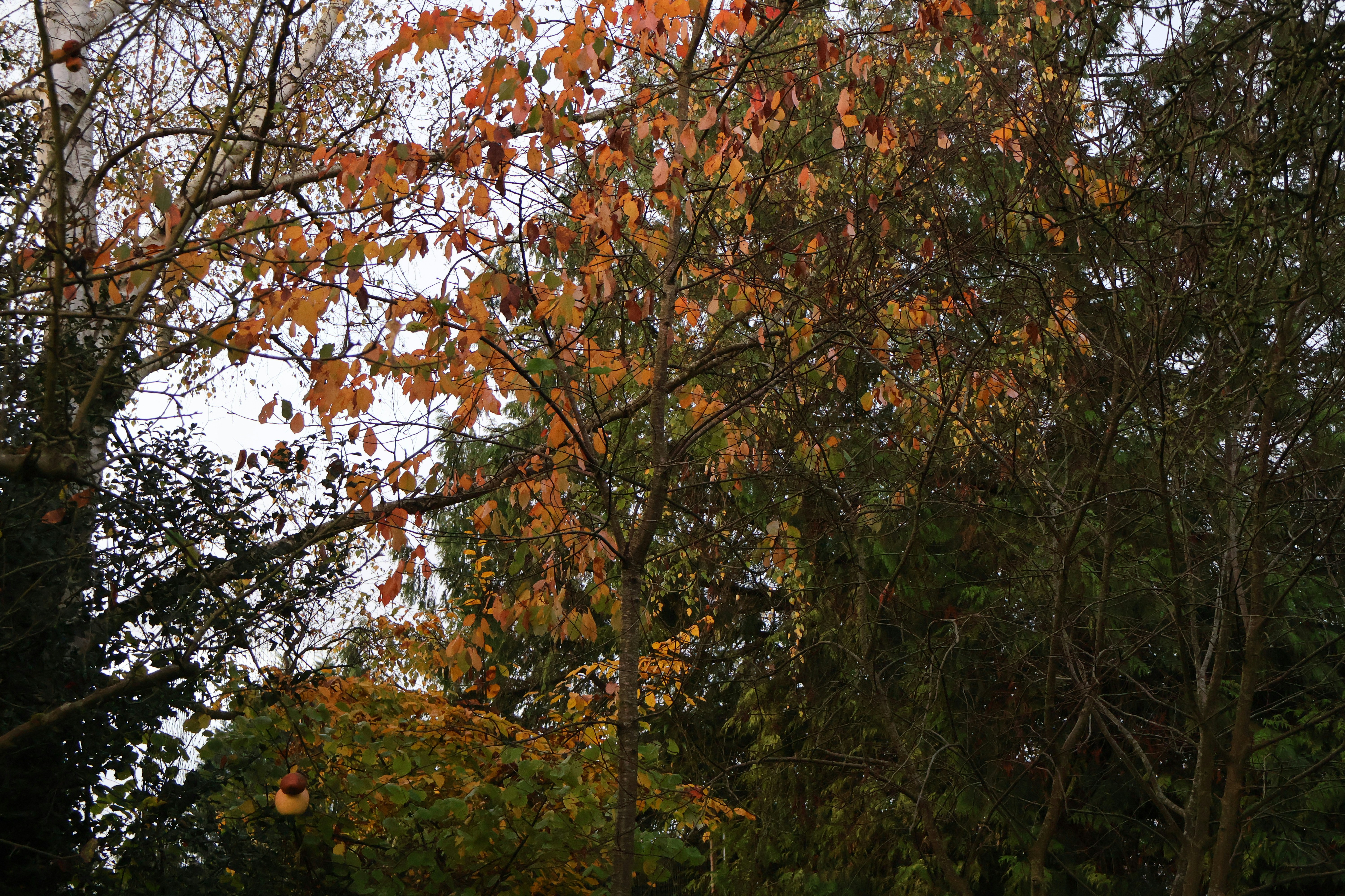 Photo by tanyabarrow