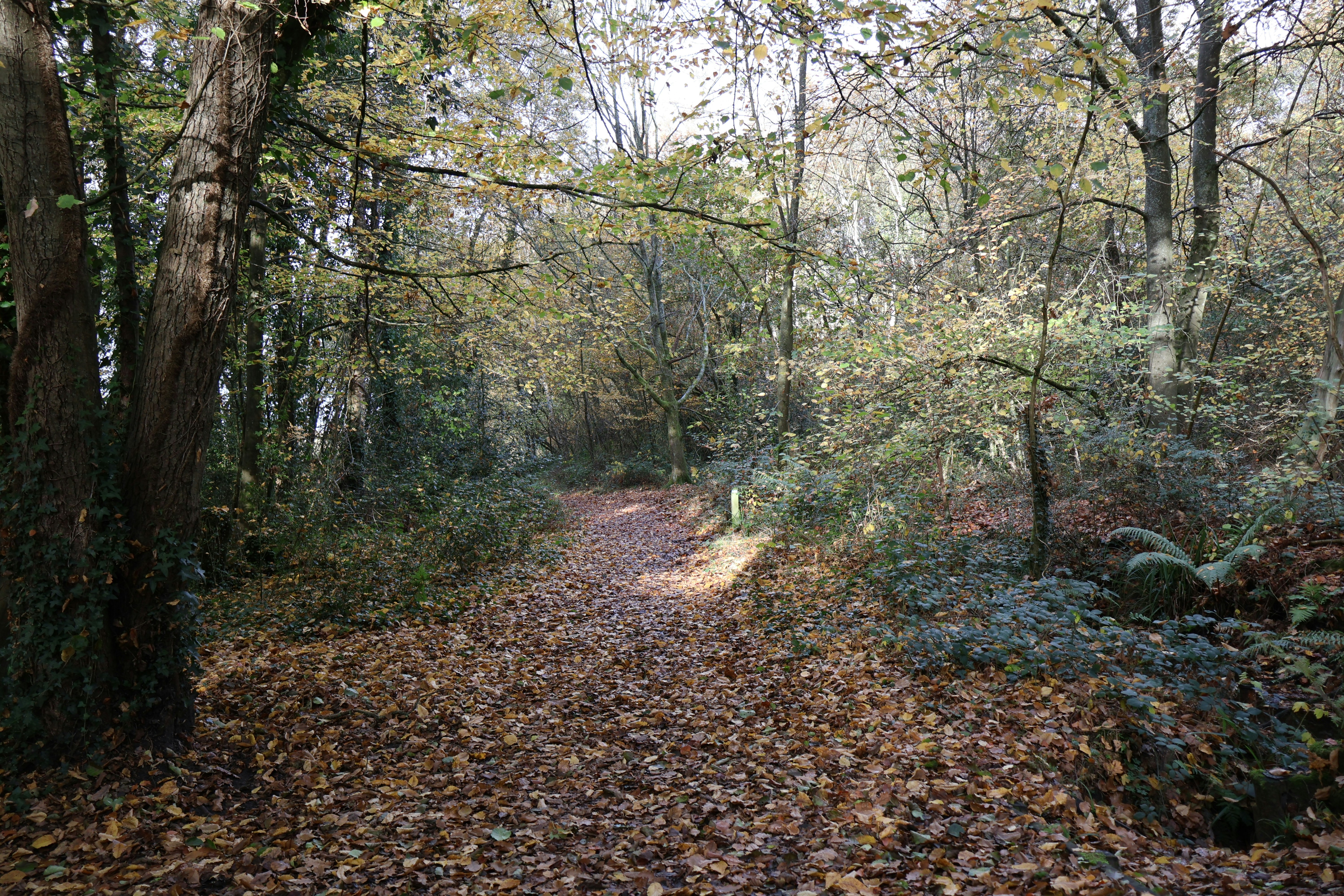 Photo by tanyabarrow