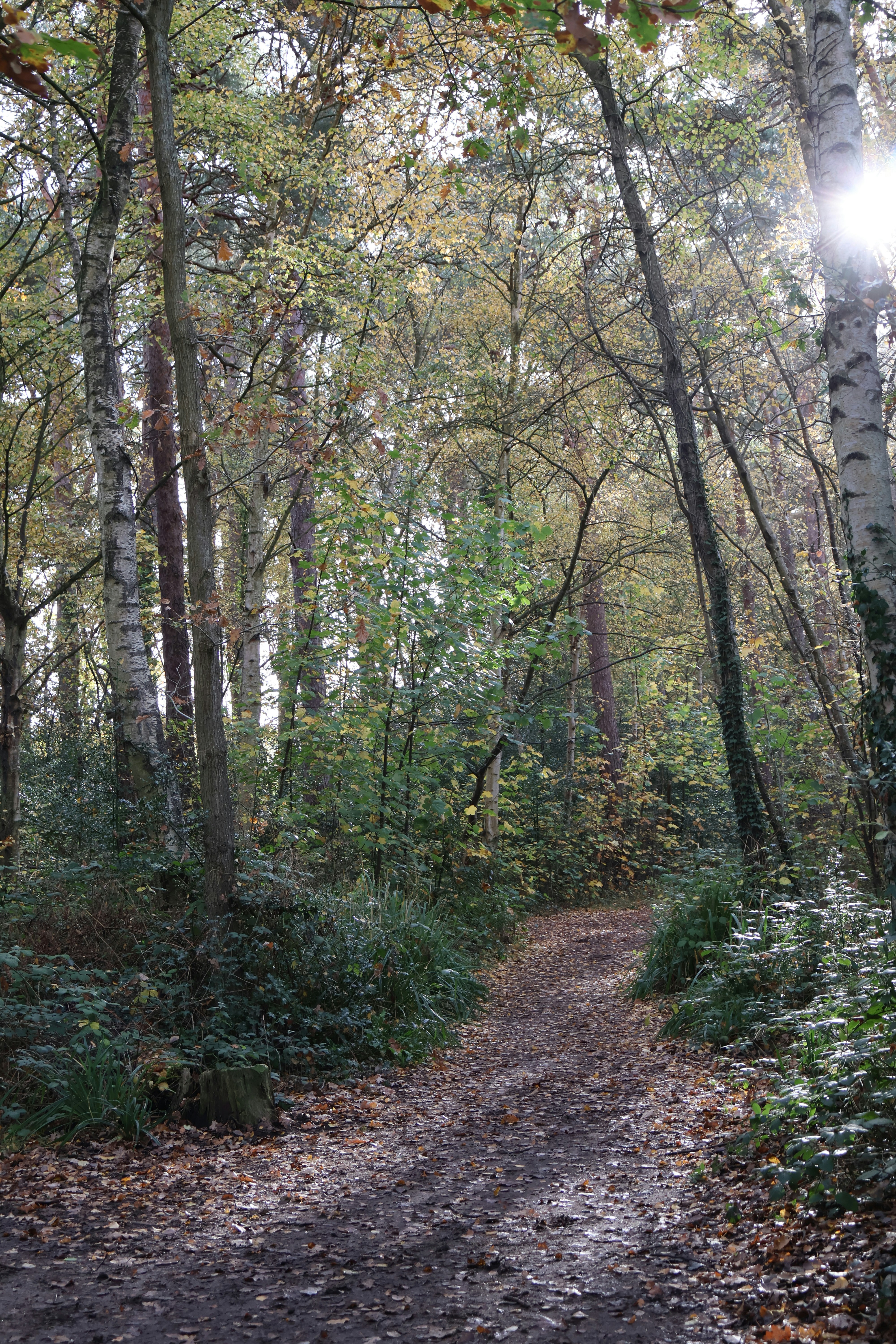 Photo by tanyabarrow