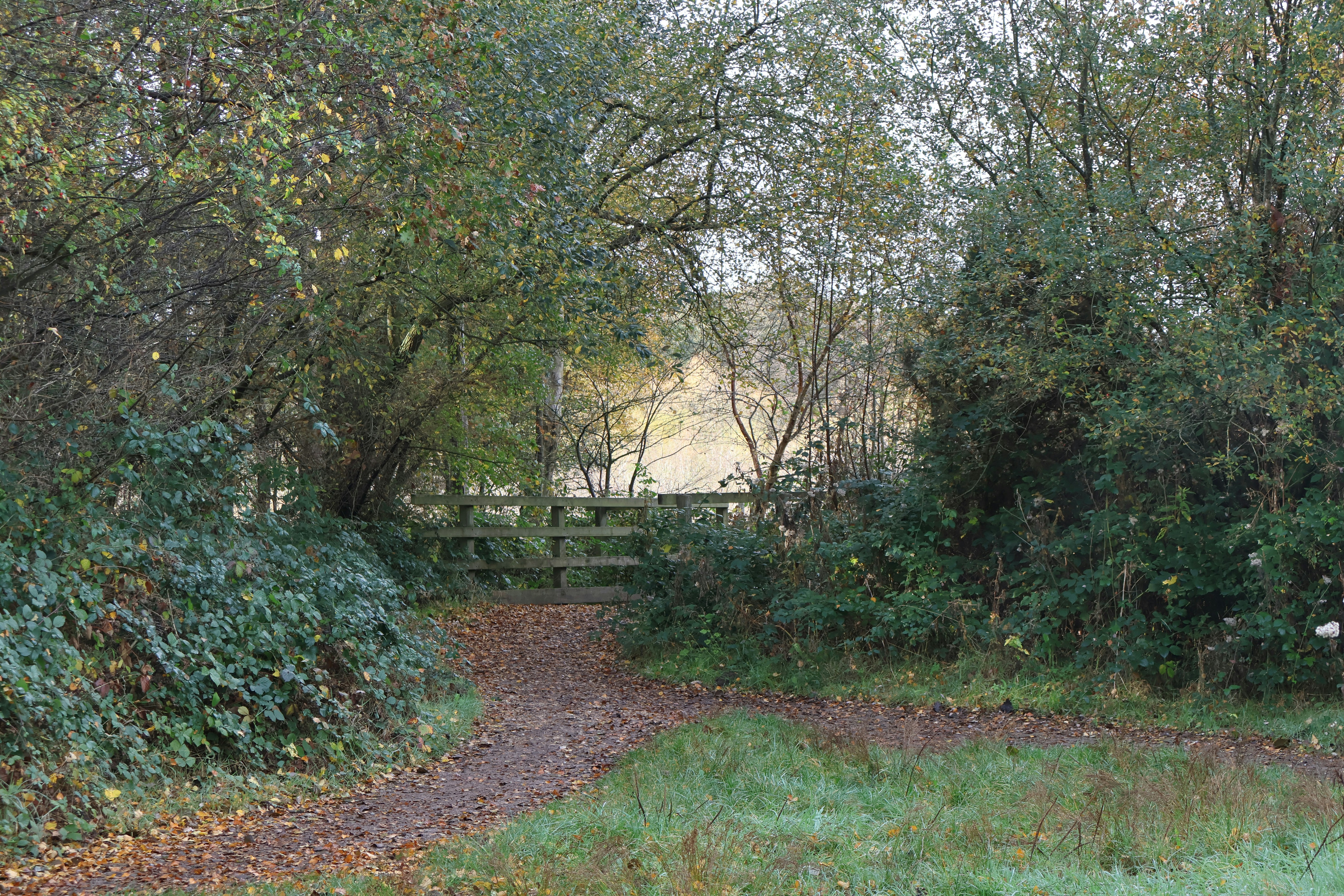 Photo by tanyabarrow