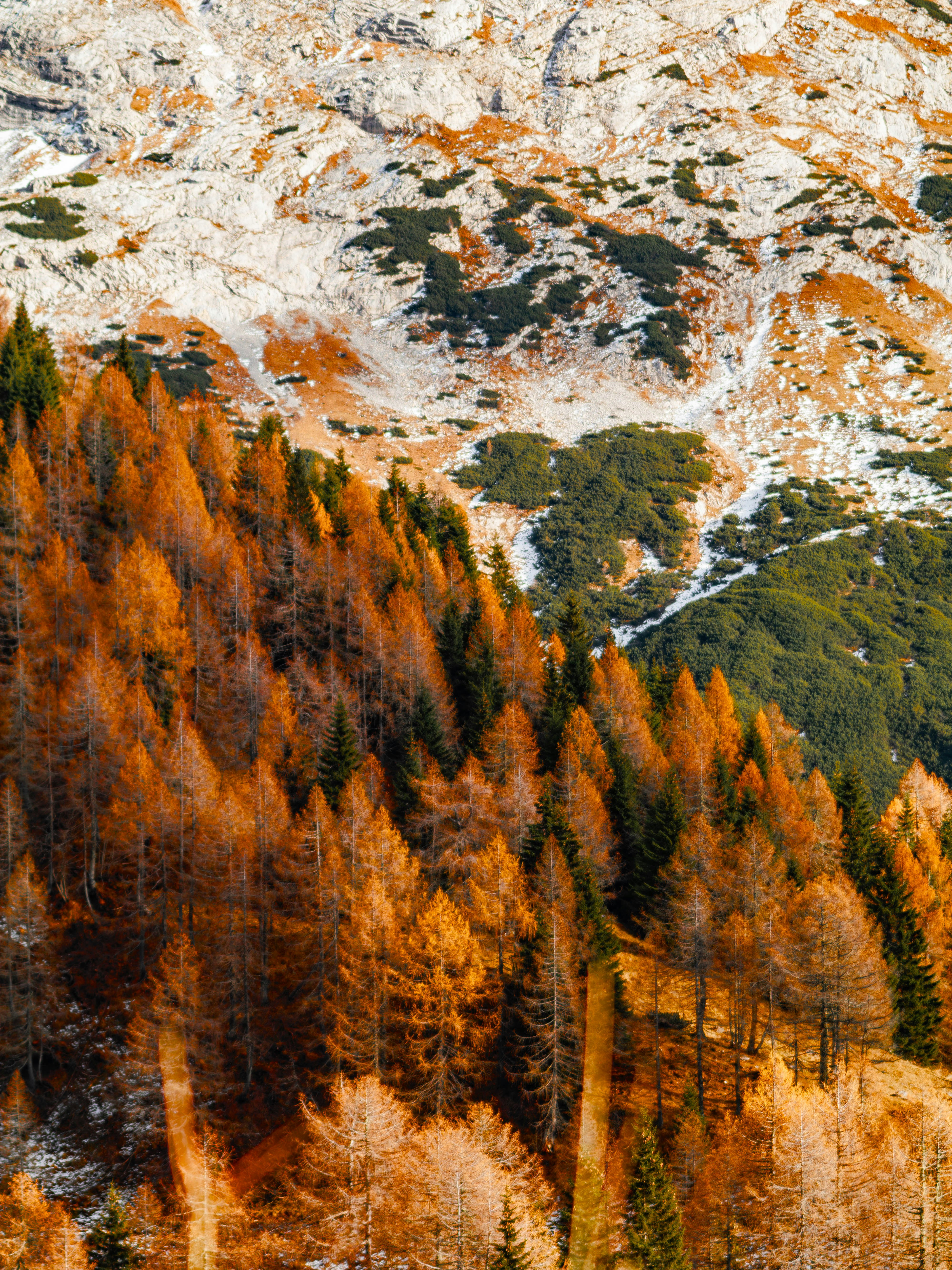 Photo by merlin_photo