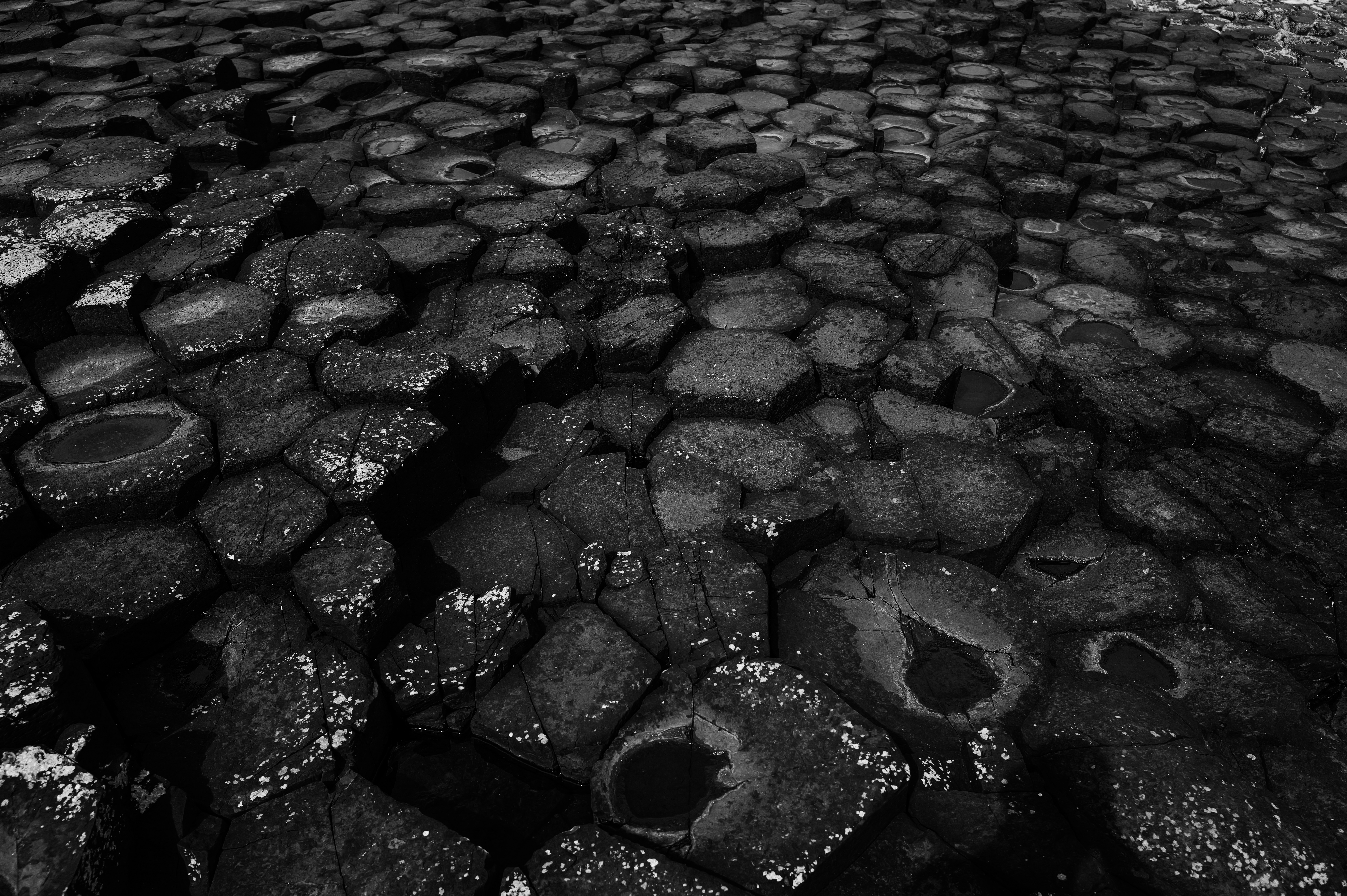 Photo by adrienolichon