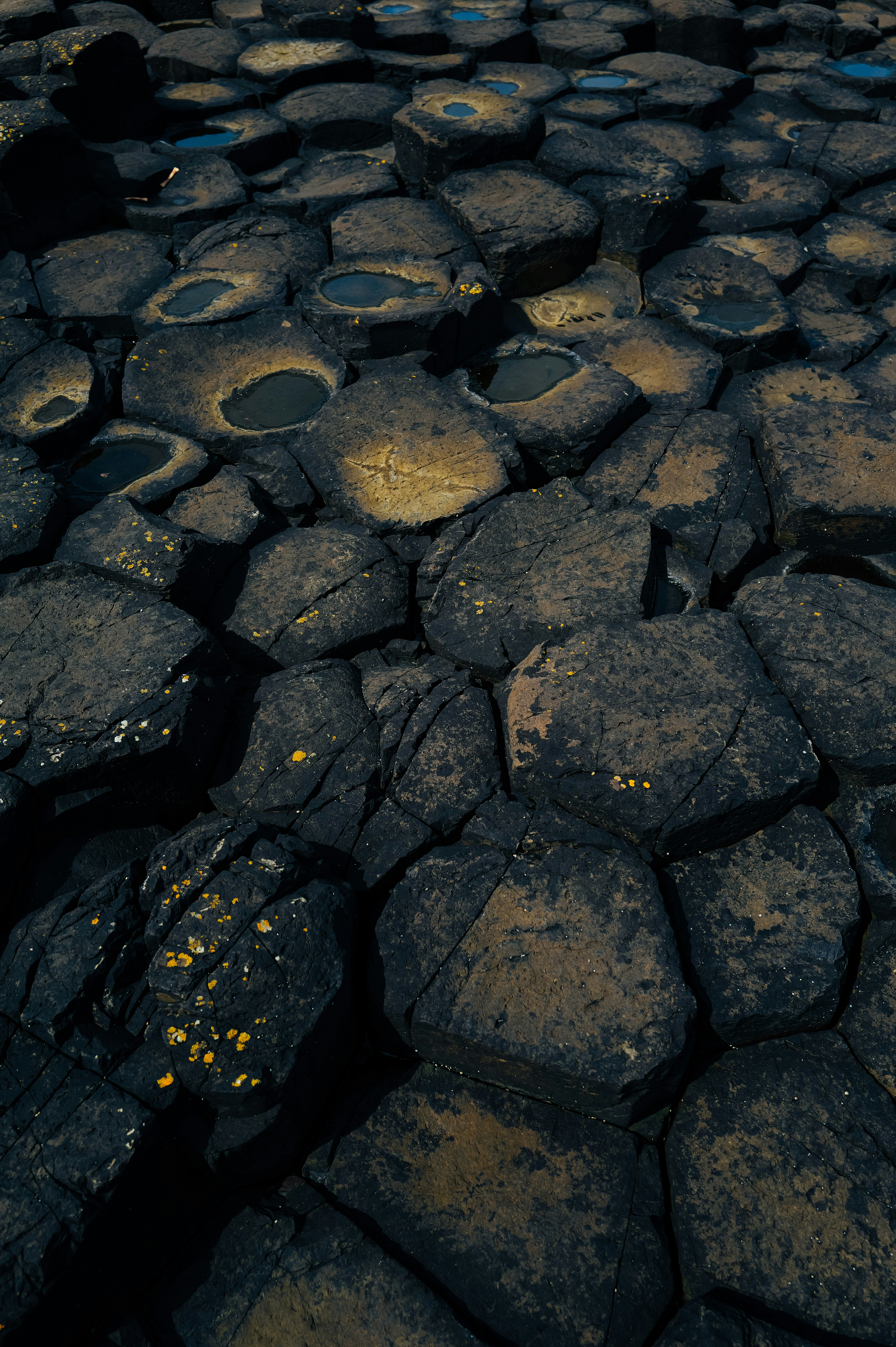 Hexagonal basalt columns with water pools