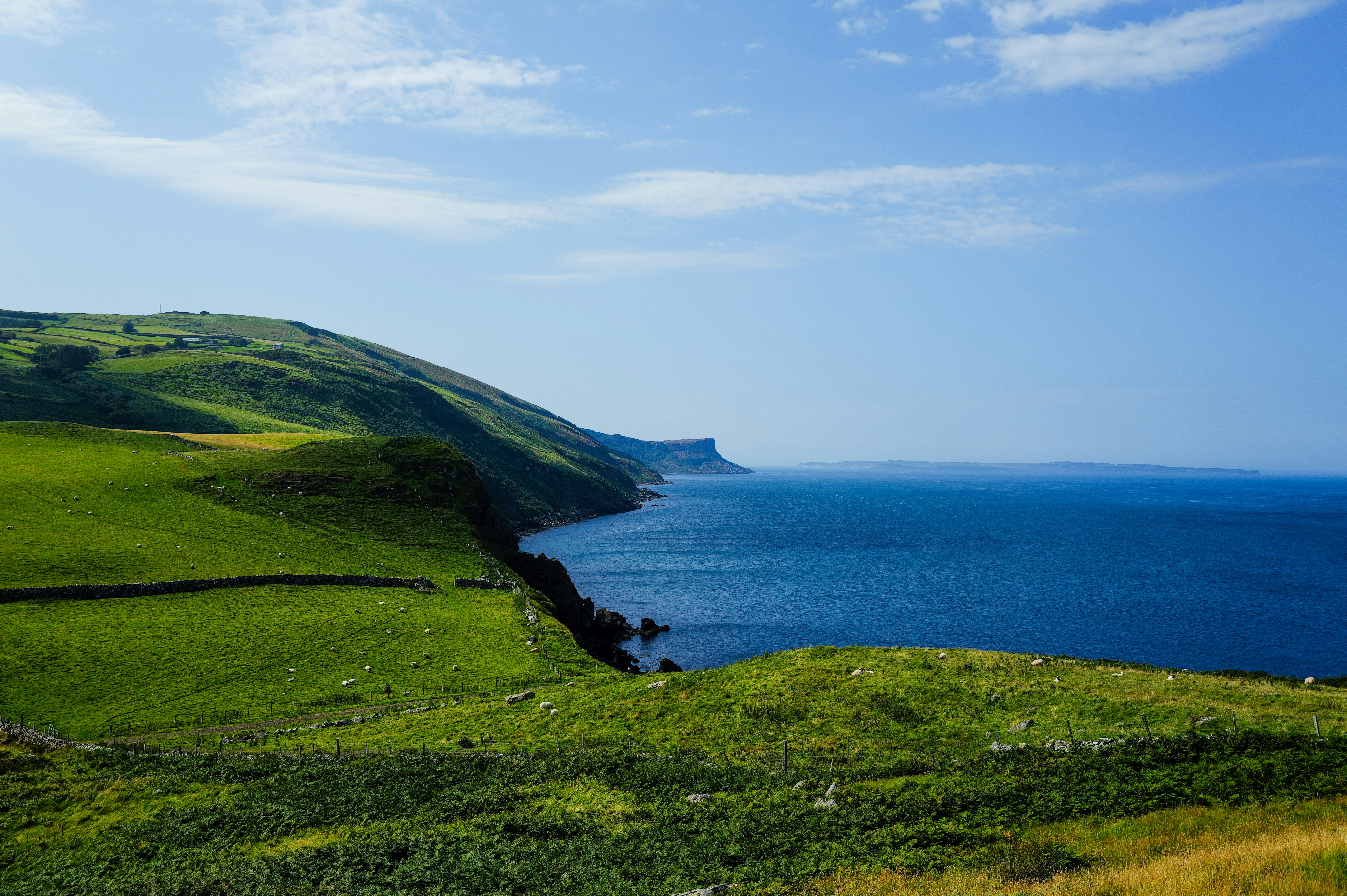 Photo by adrienolichon