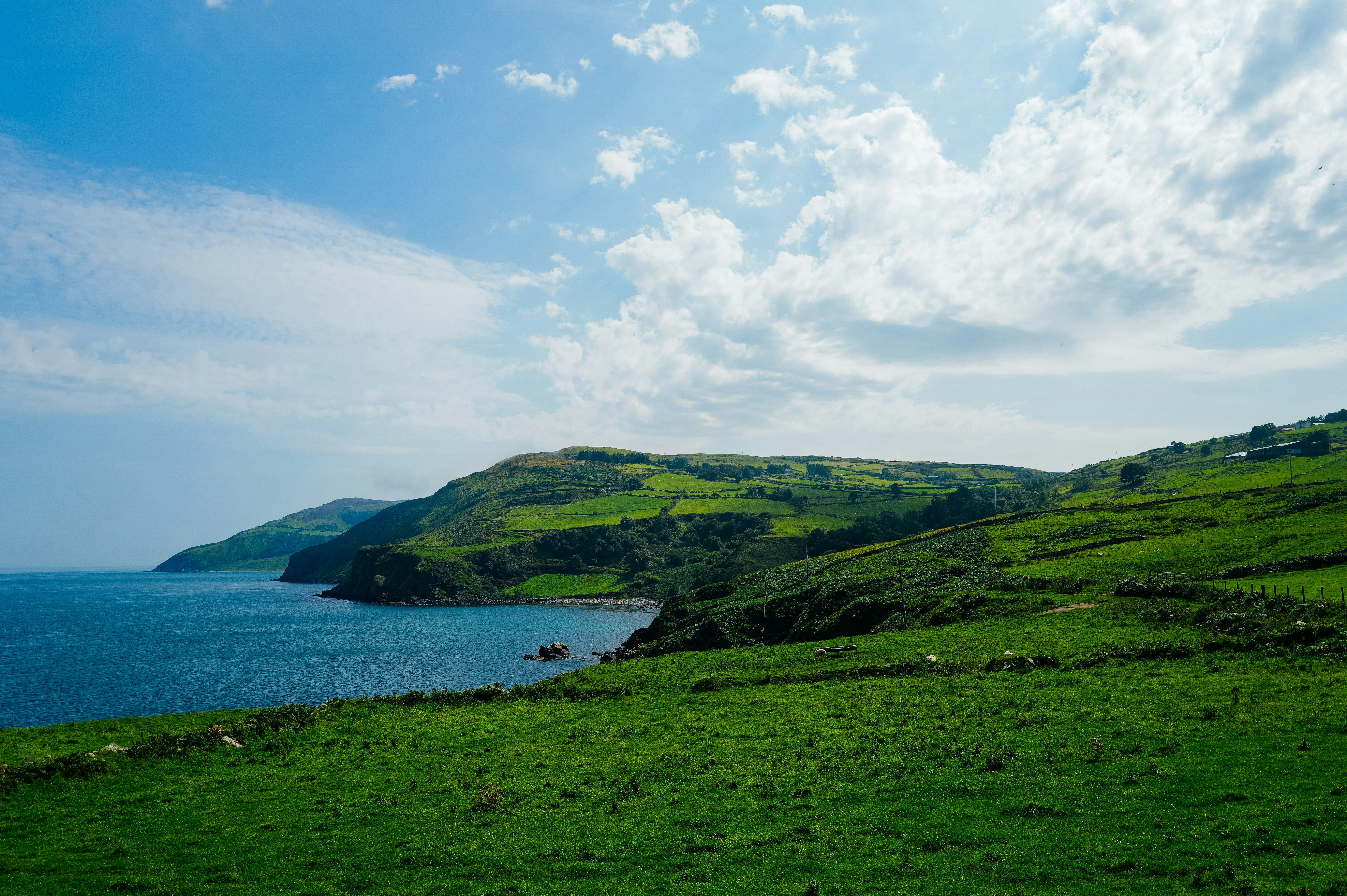 Photo by adrienolichon