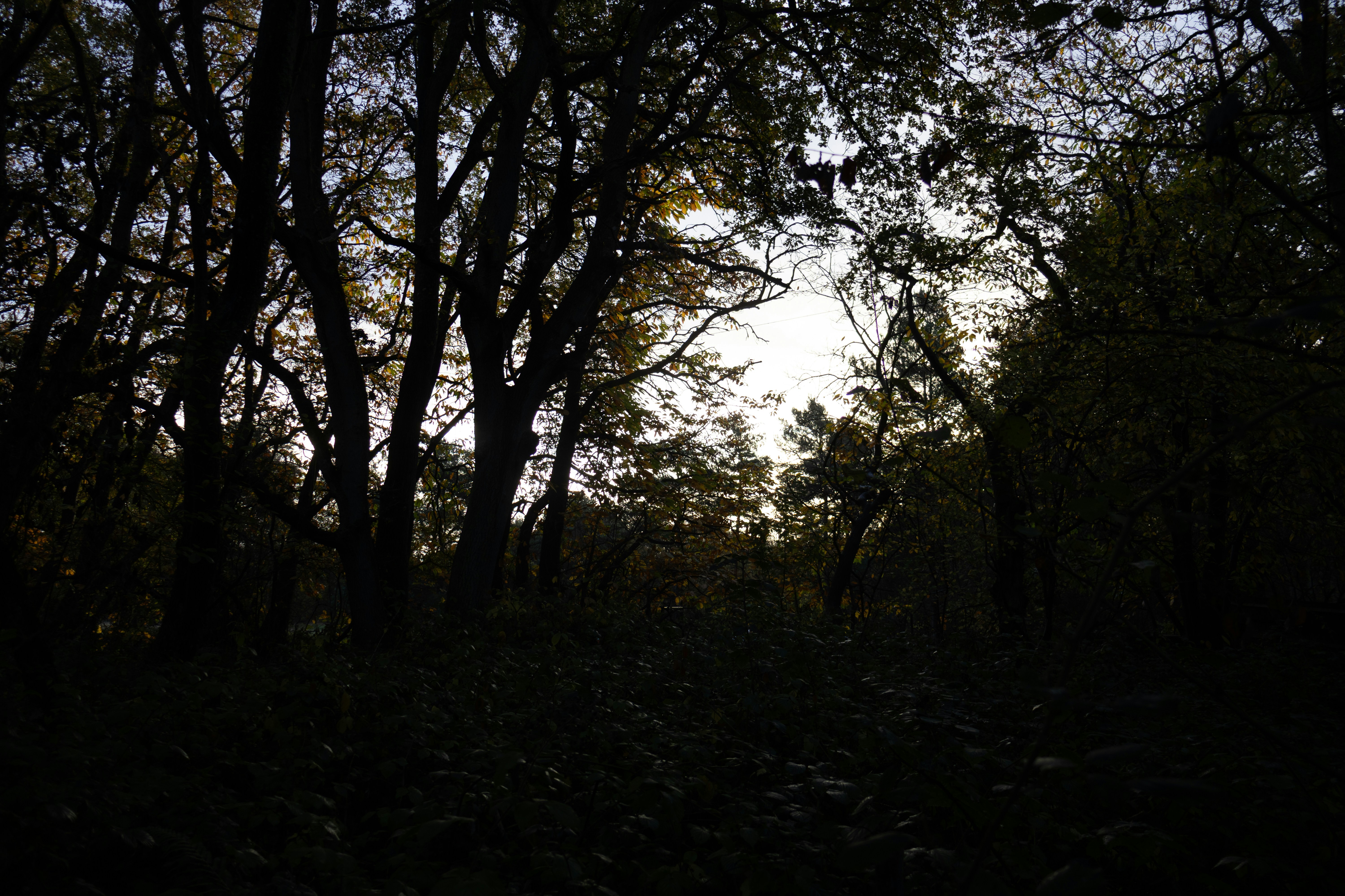 Photo by tanyabarrow