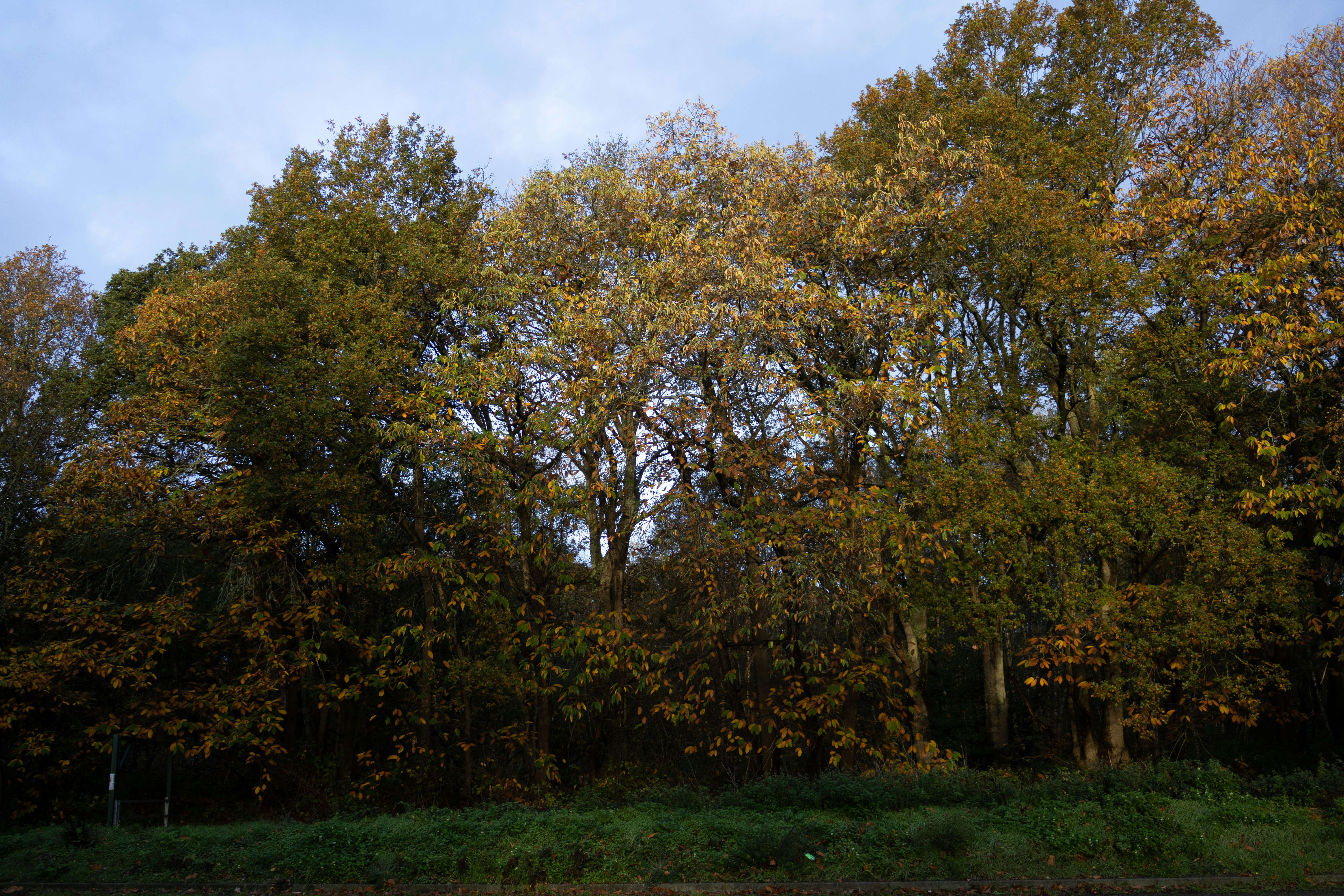 Photo by tanyabarrow