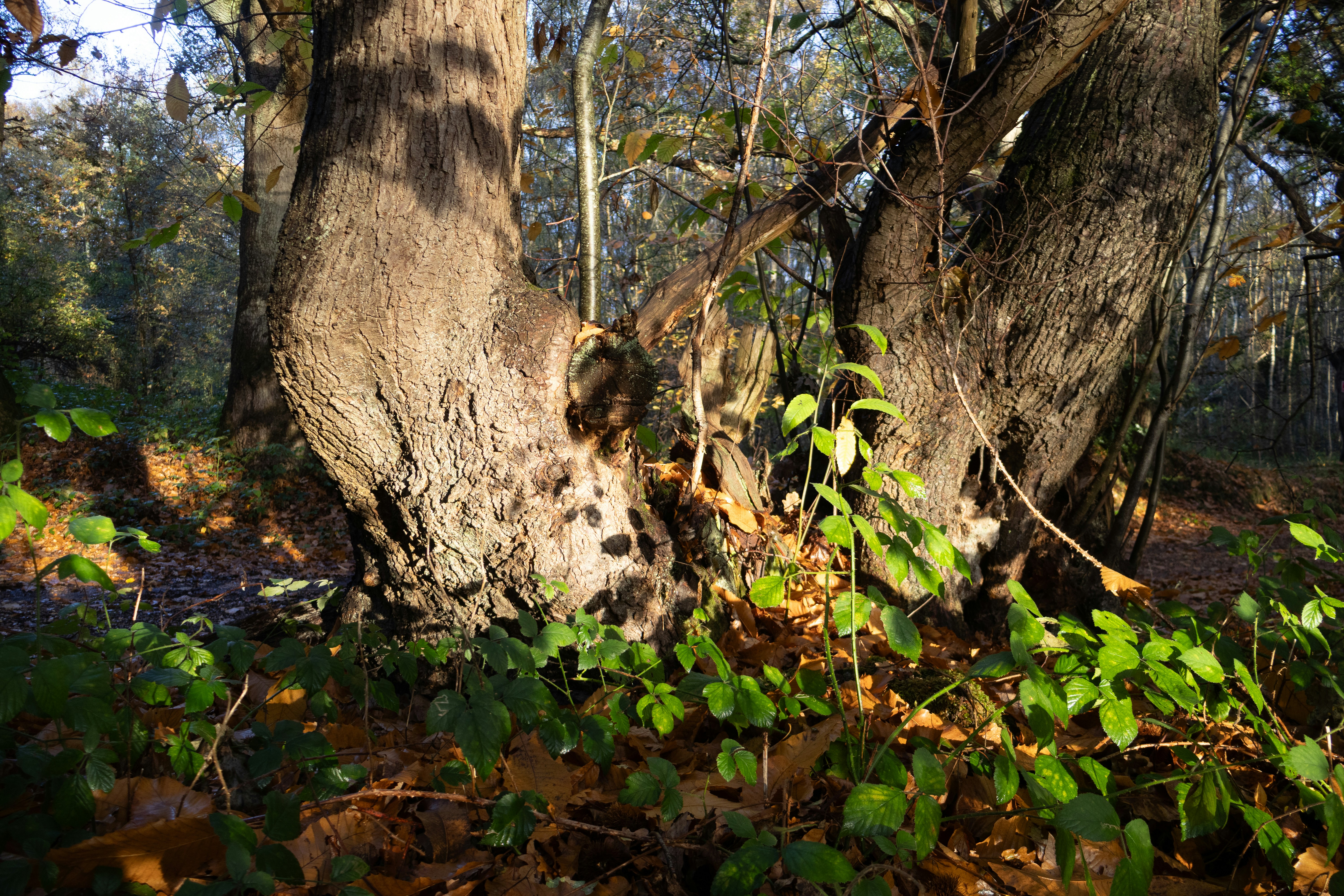 Photo by tanyabarrow