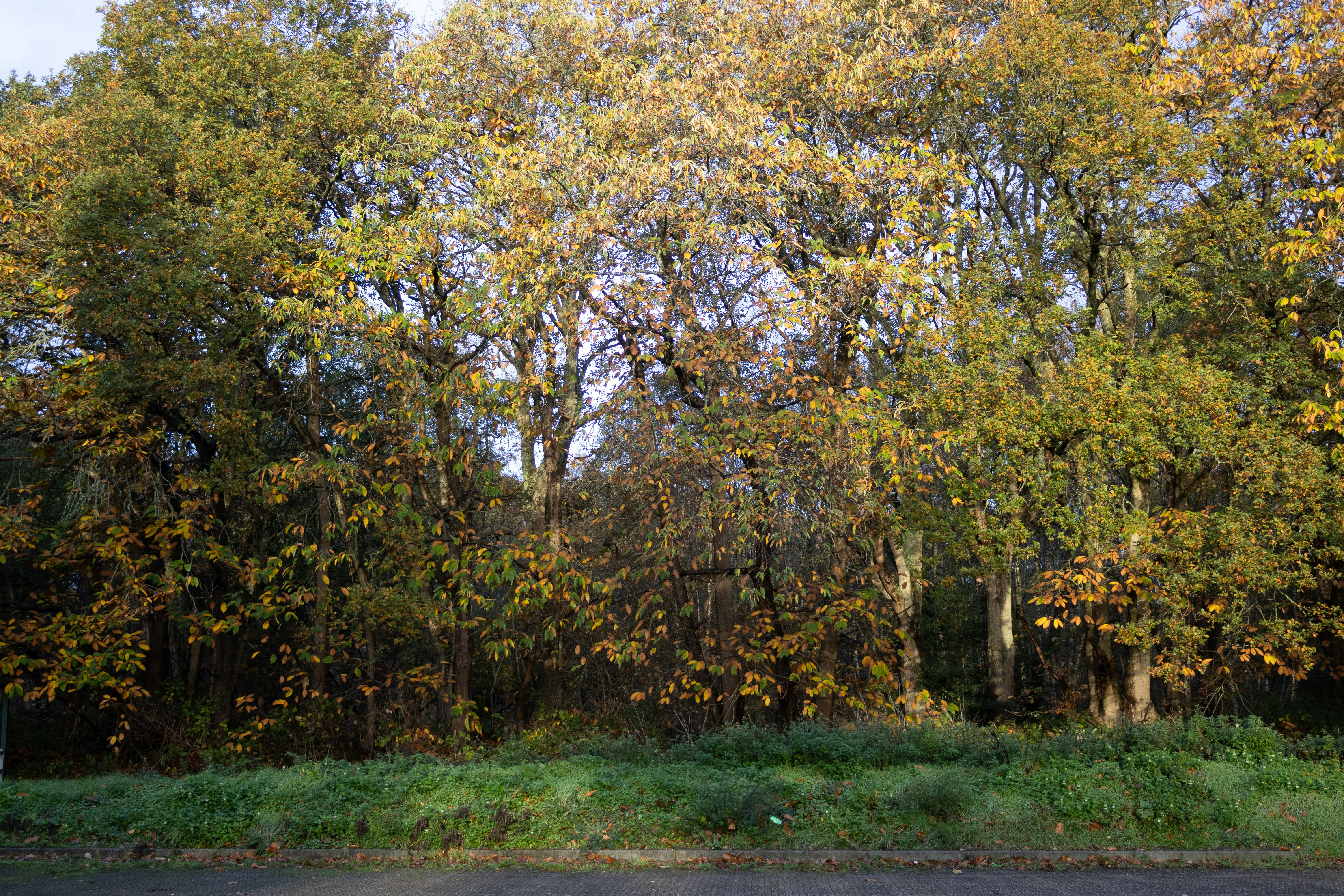 Photo by tanyabarrow