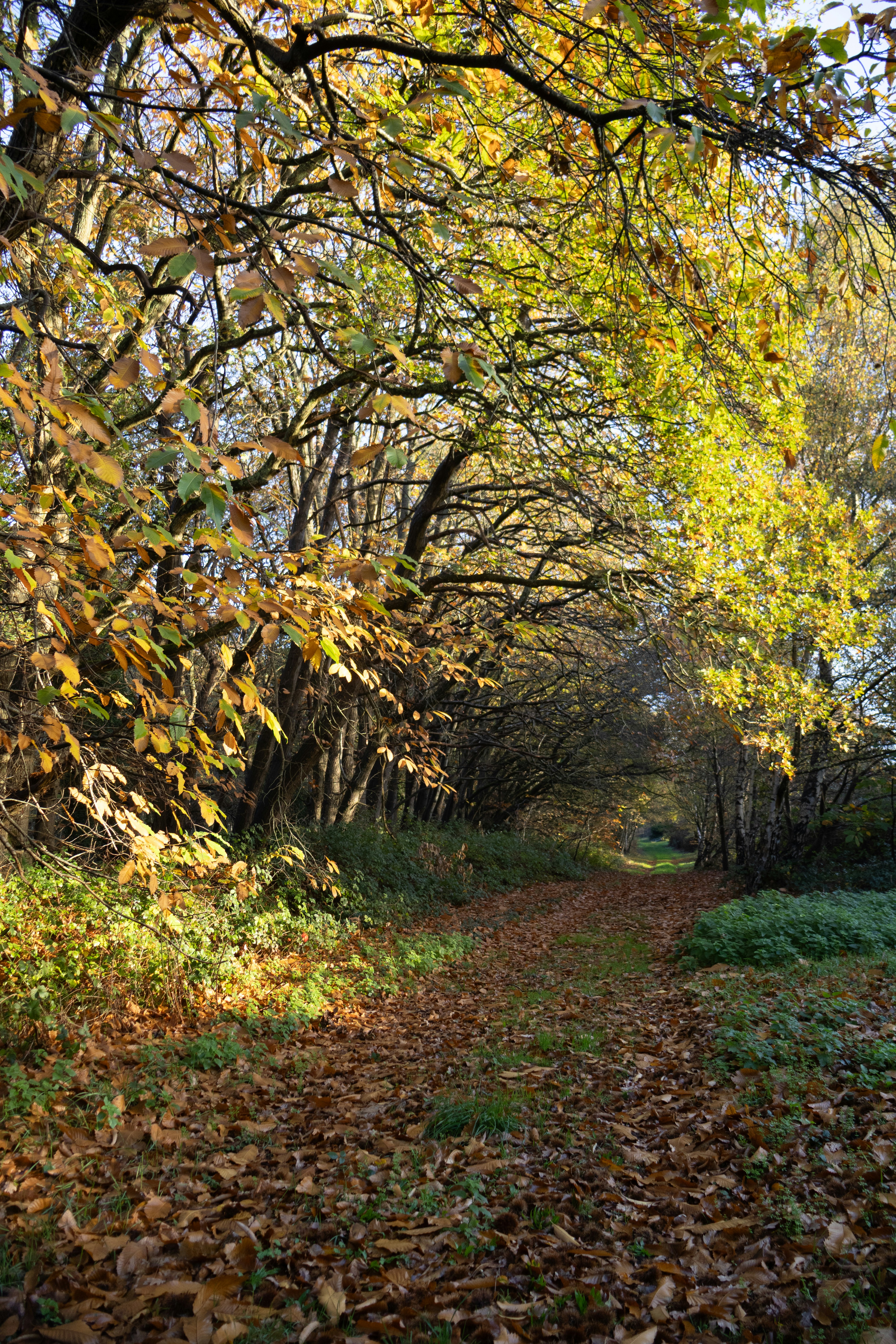 Photo by tanyabarrow