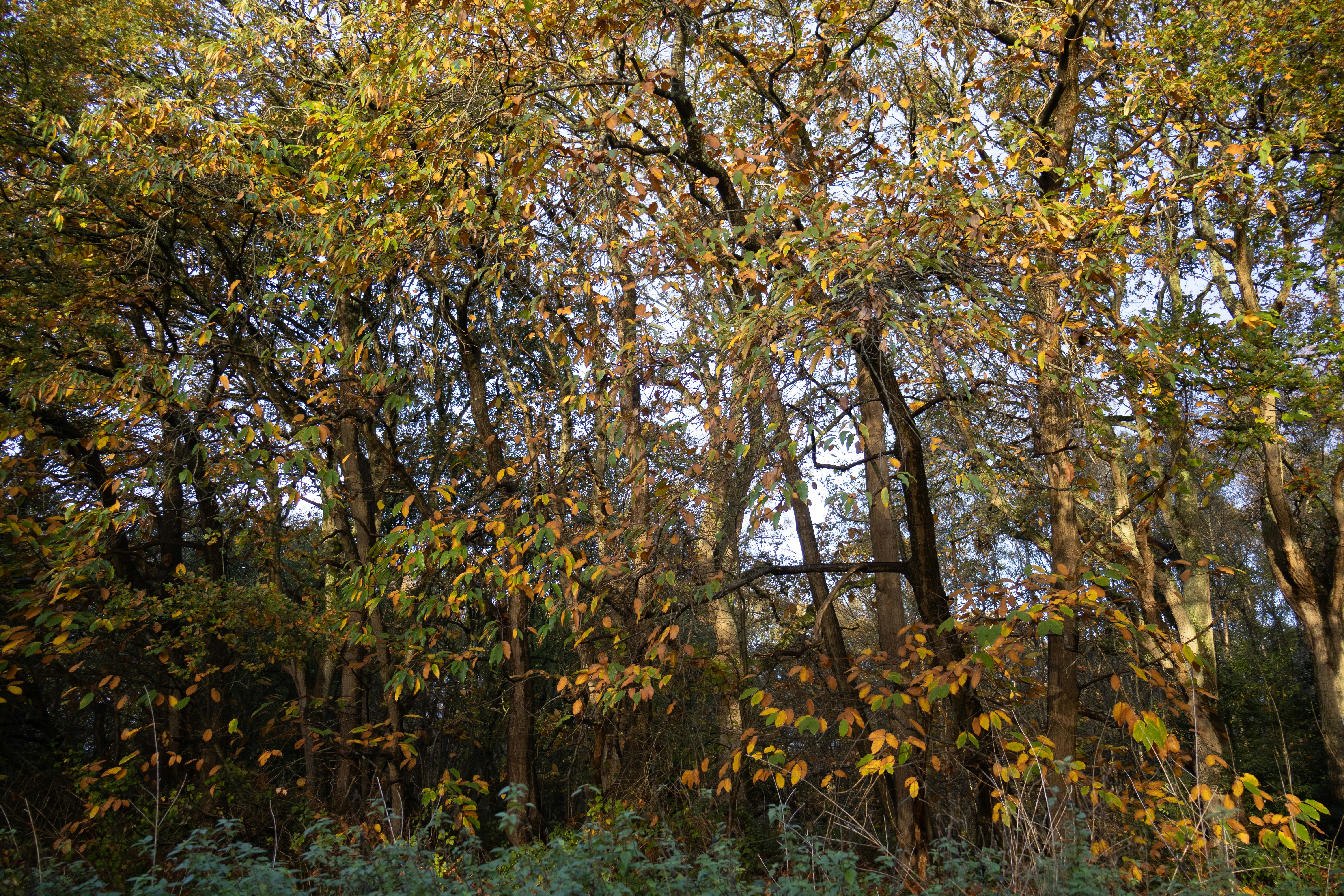 Photo by tanyabarrow