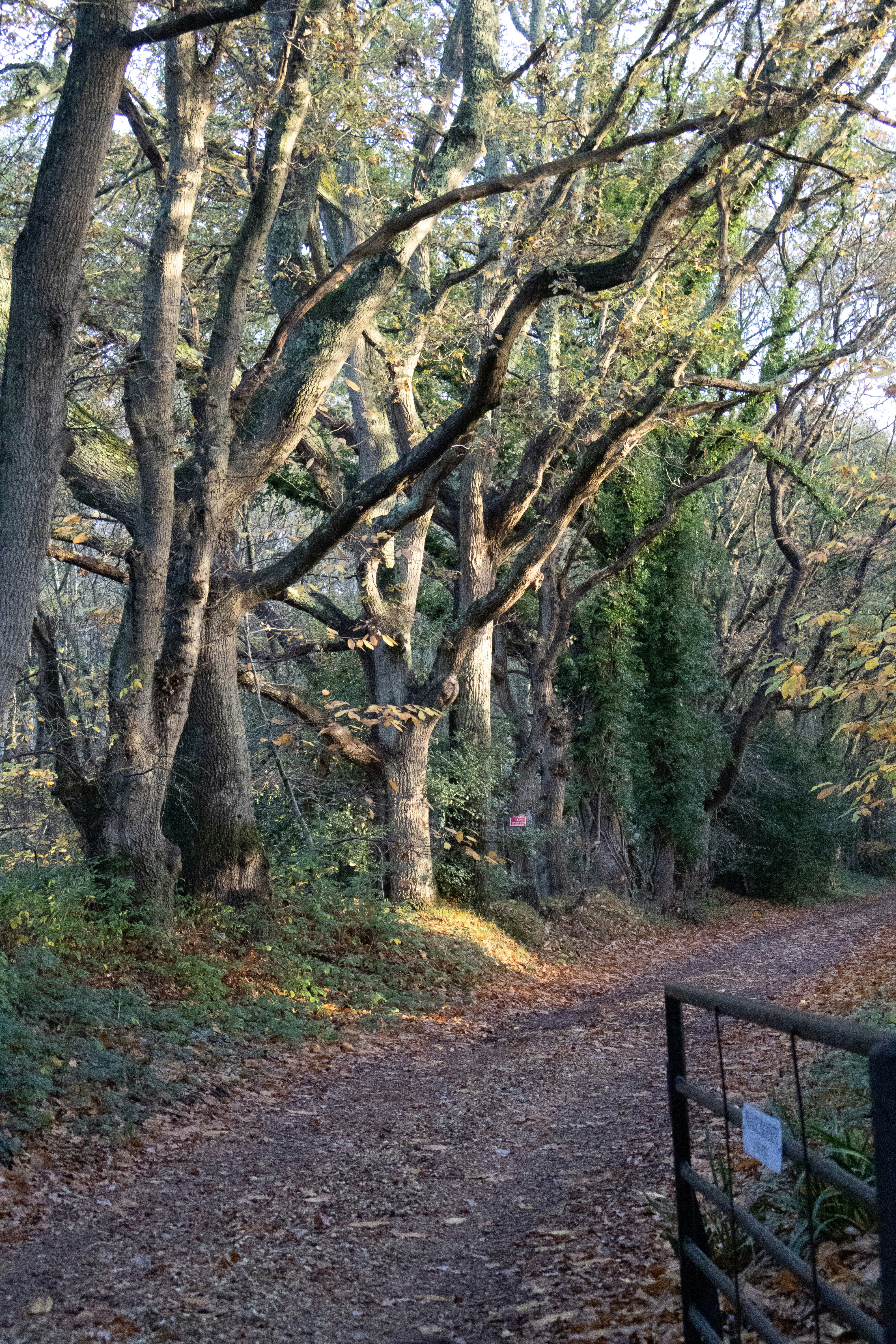 Photo by tanyabarrow