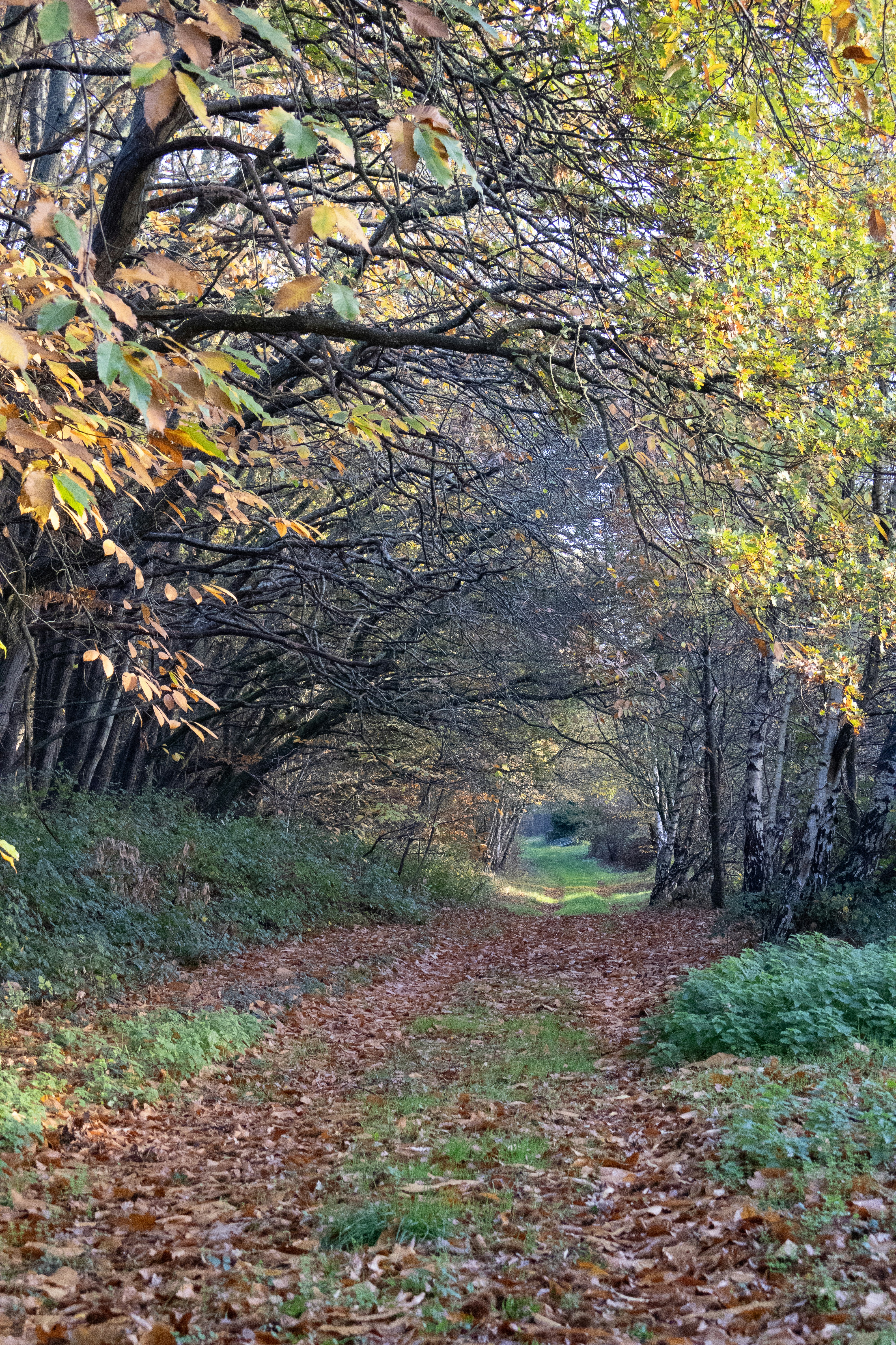 Photo by tanyabarrow