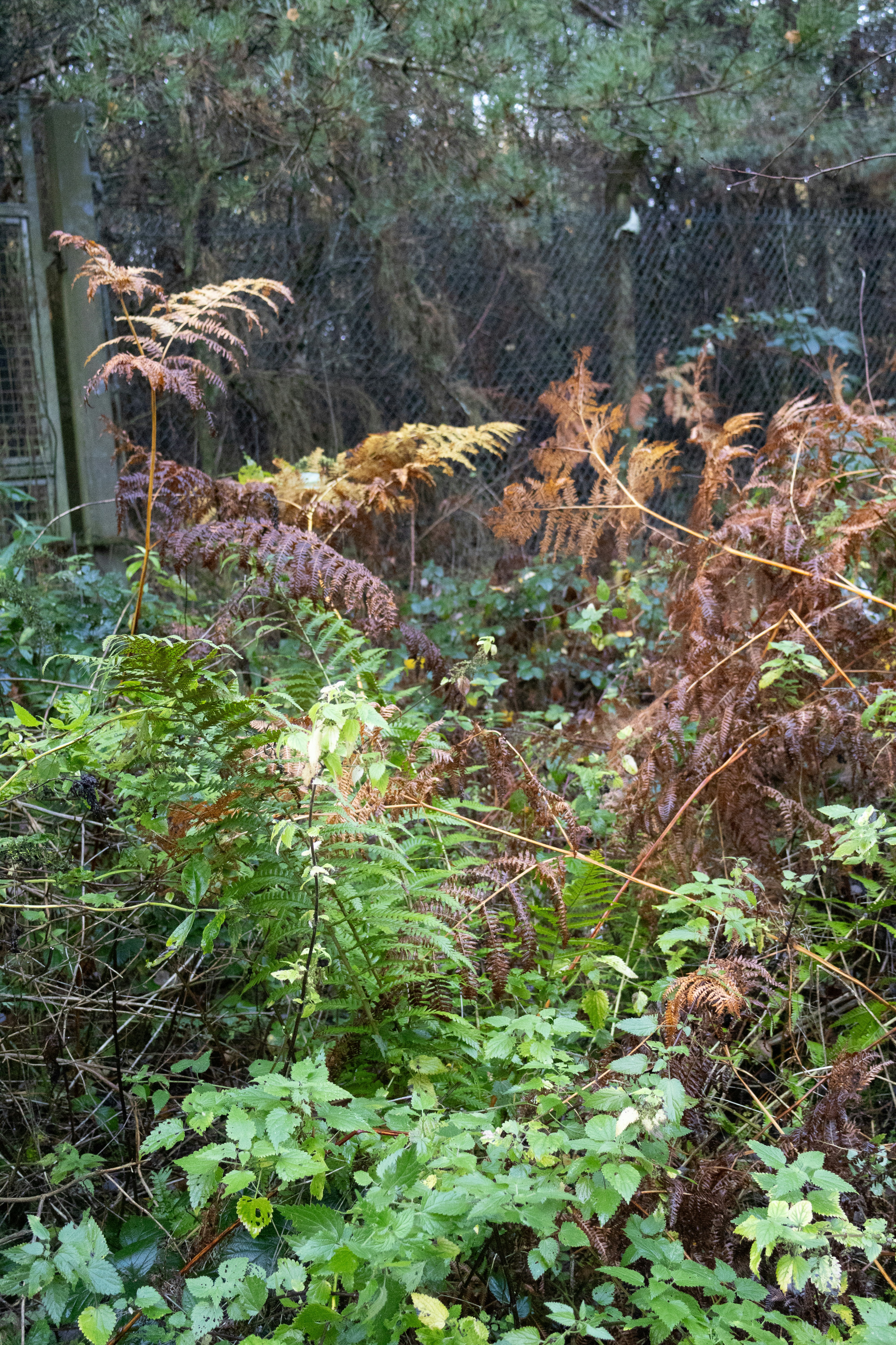 Photo by tanyabarrow