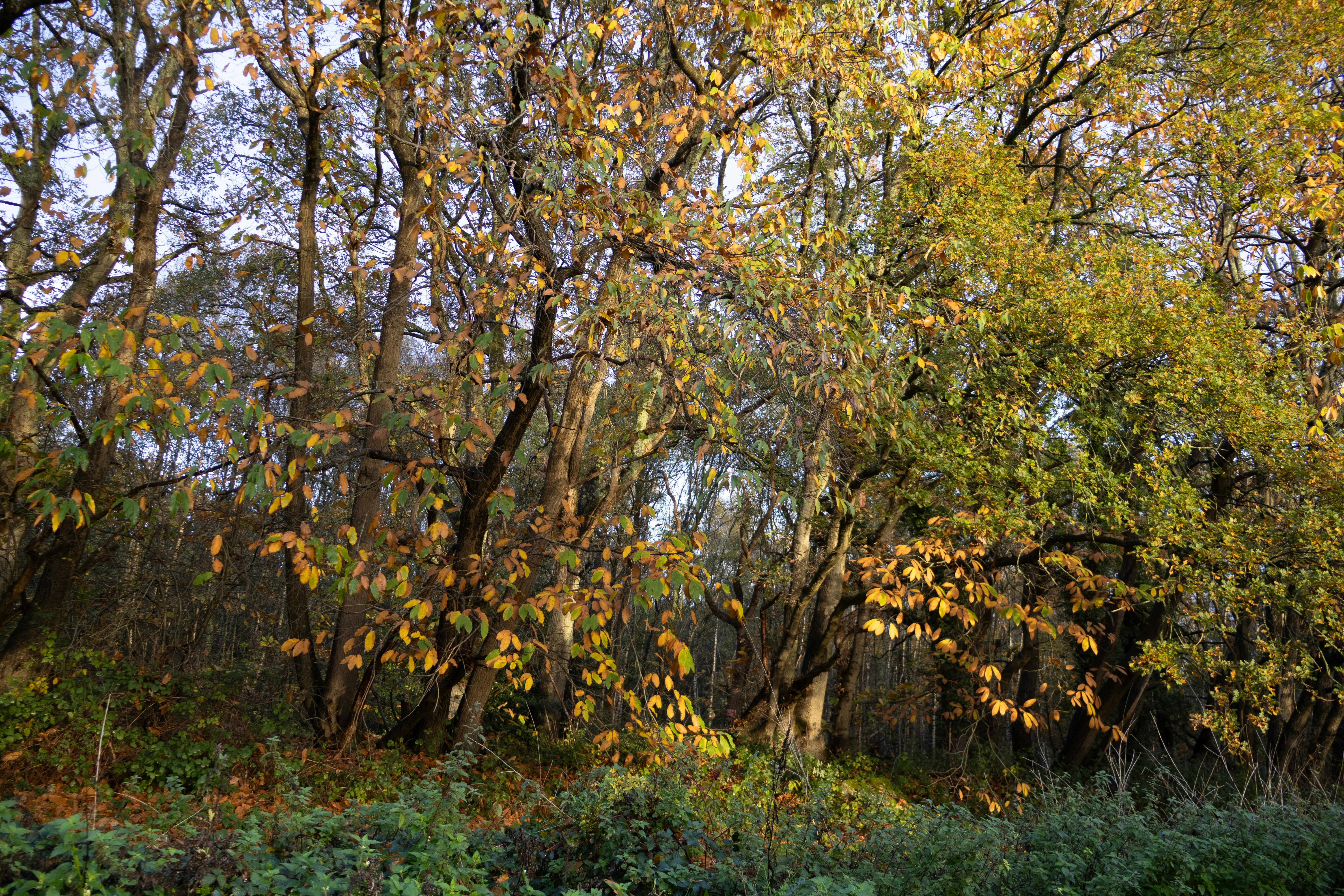 Photo by tanyabarrow