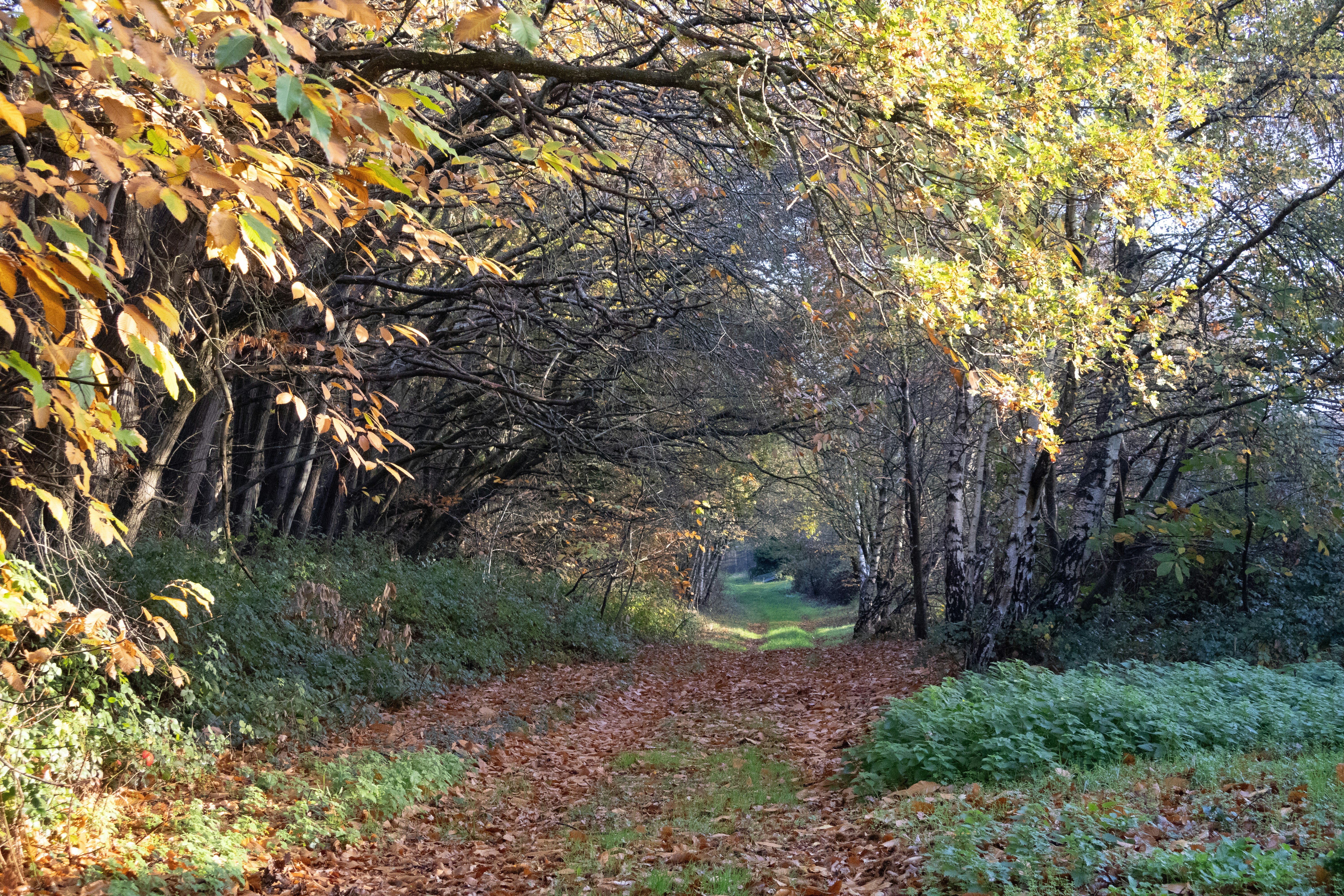 Photo by tanyabarrow