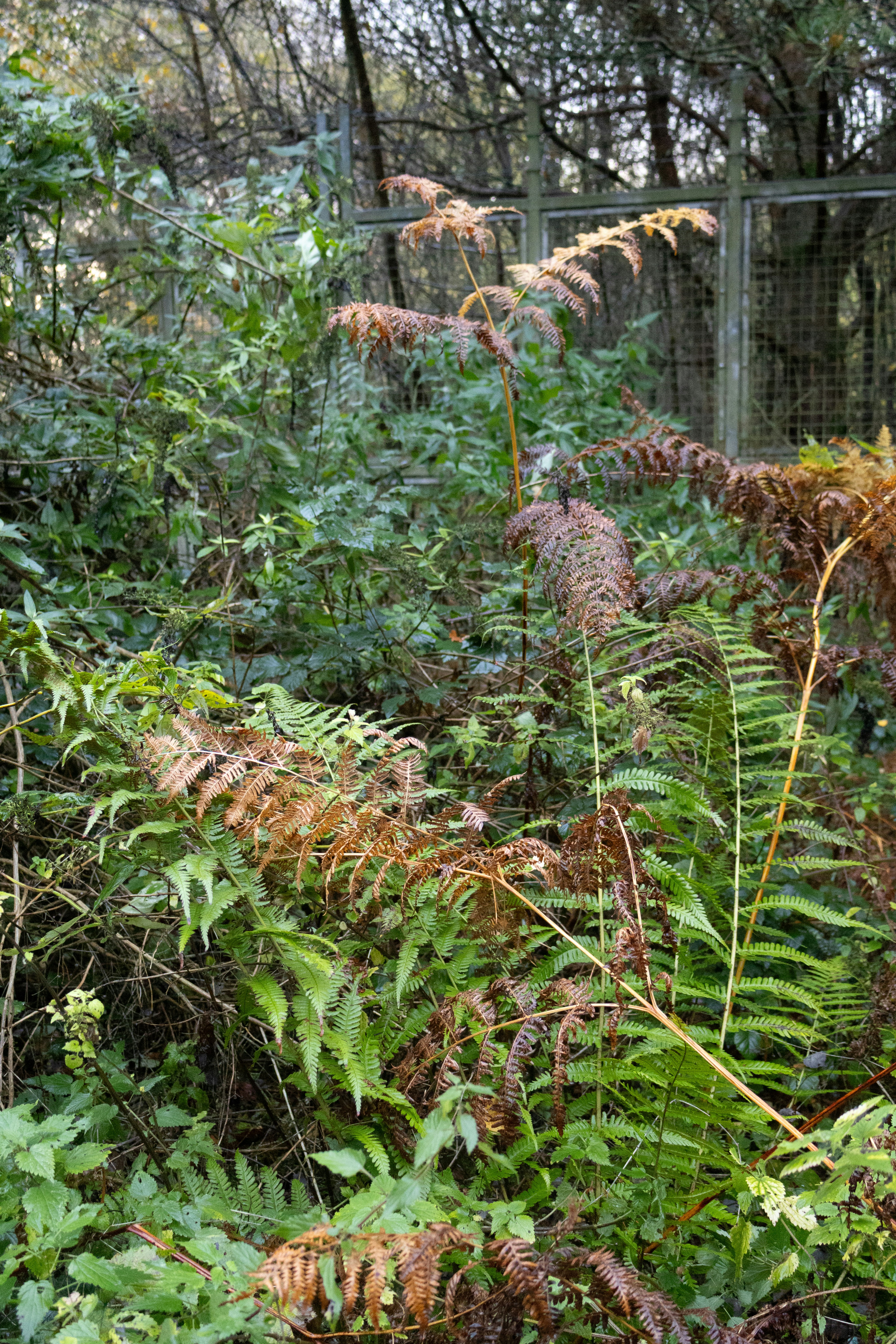 Photo by tanyabarrow