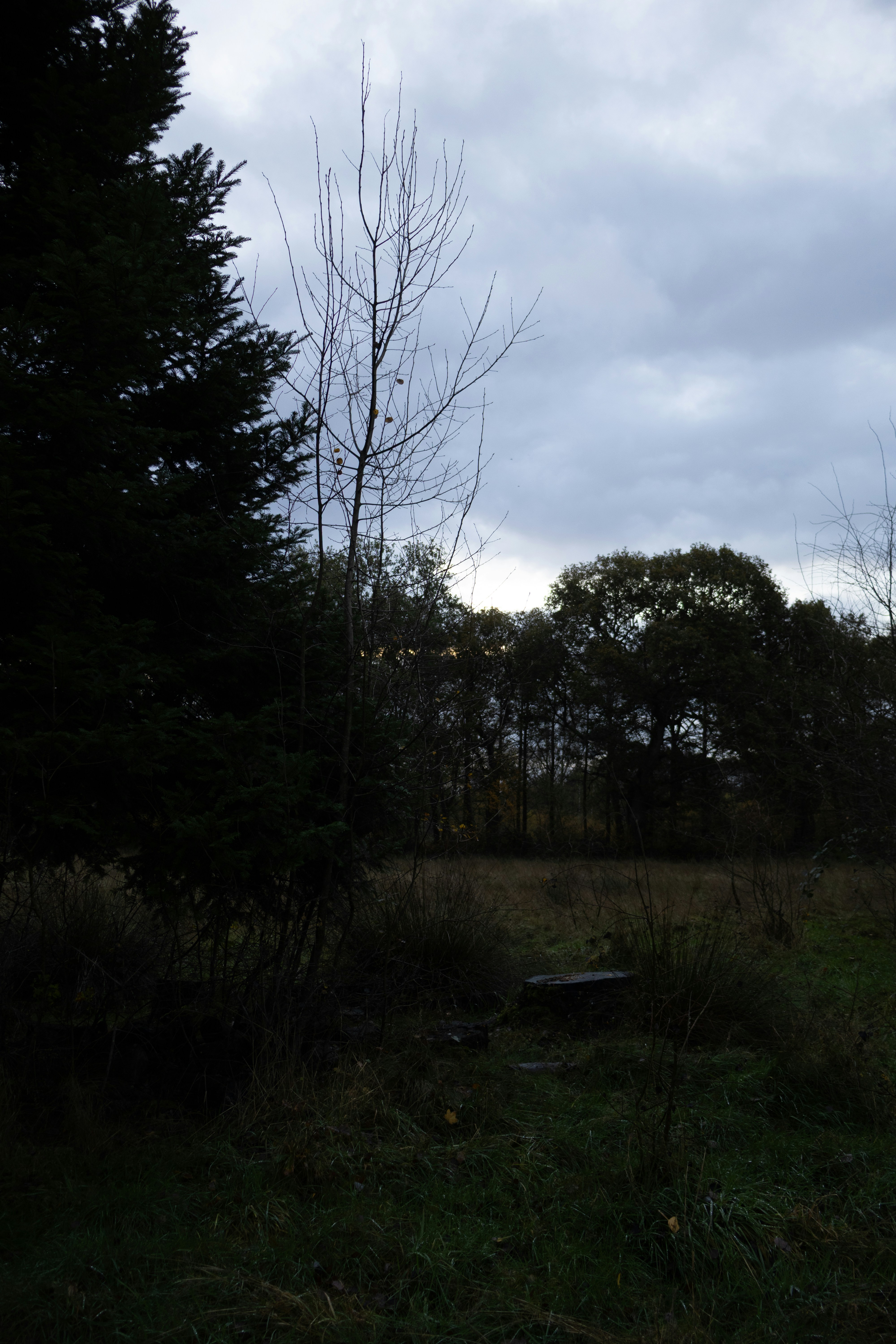 Photo by tanyabarrow