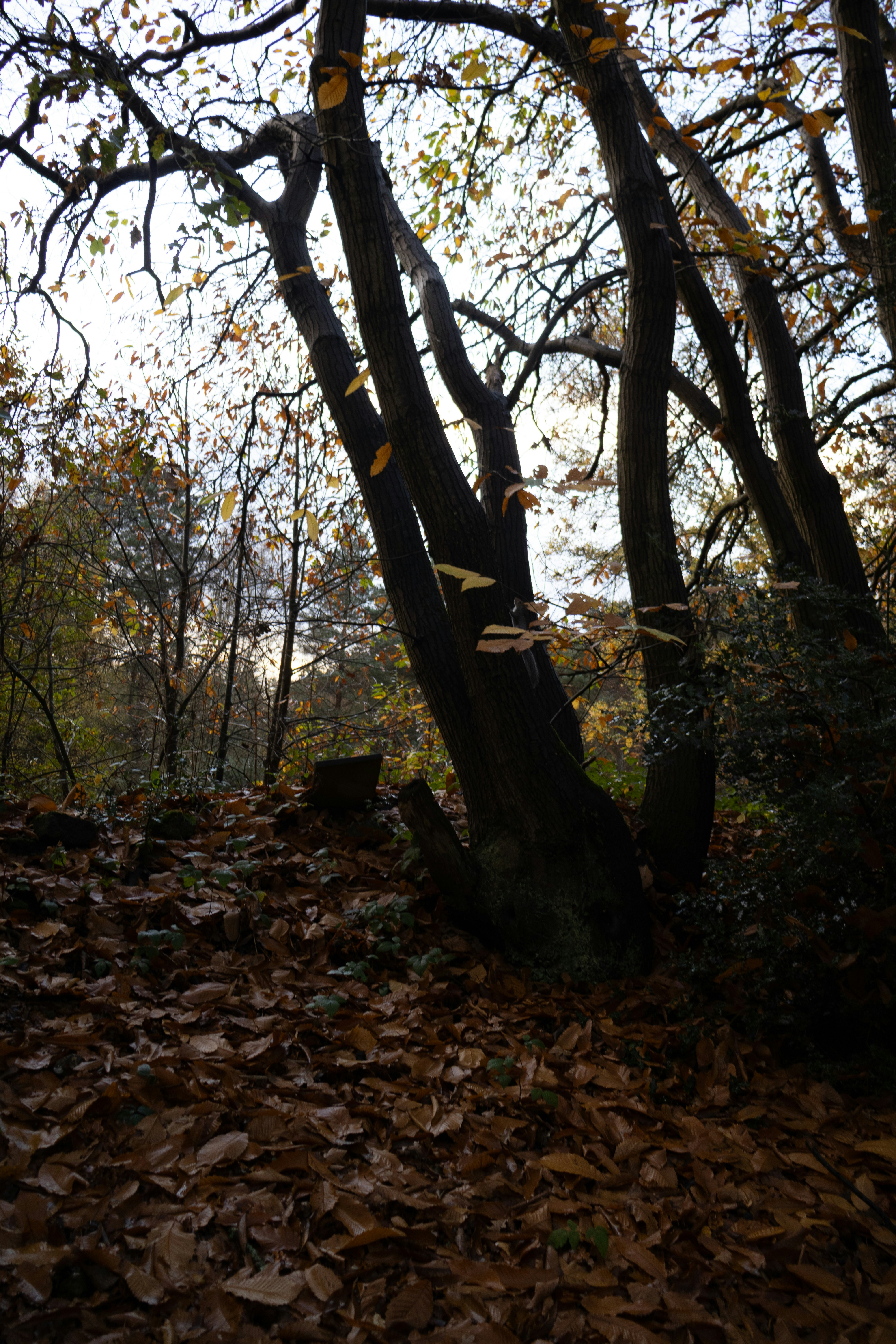 Photo by tanyabarrow