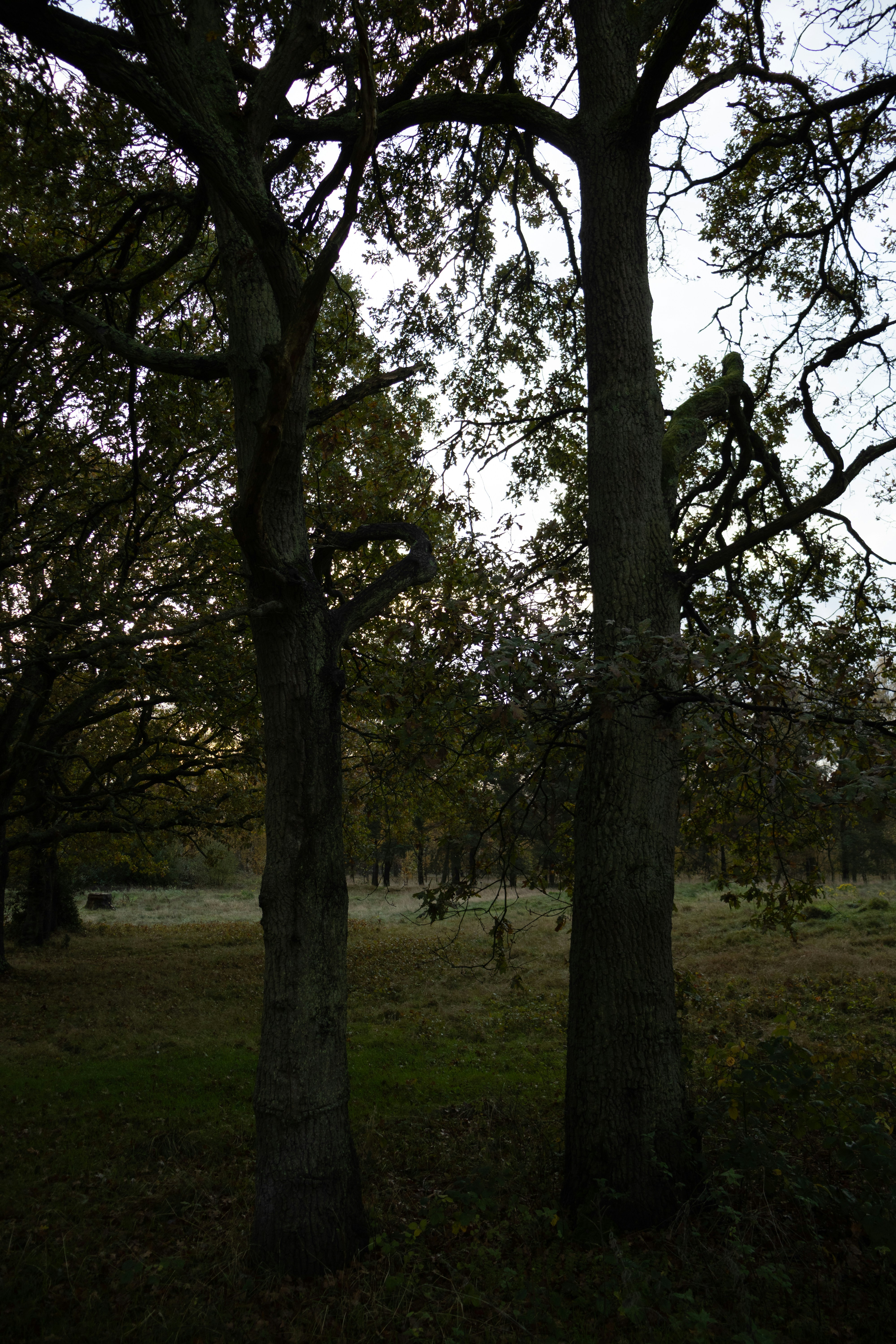 Photo by tanyabarrow