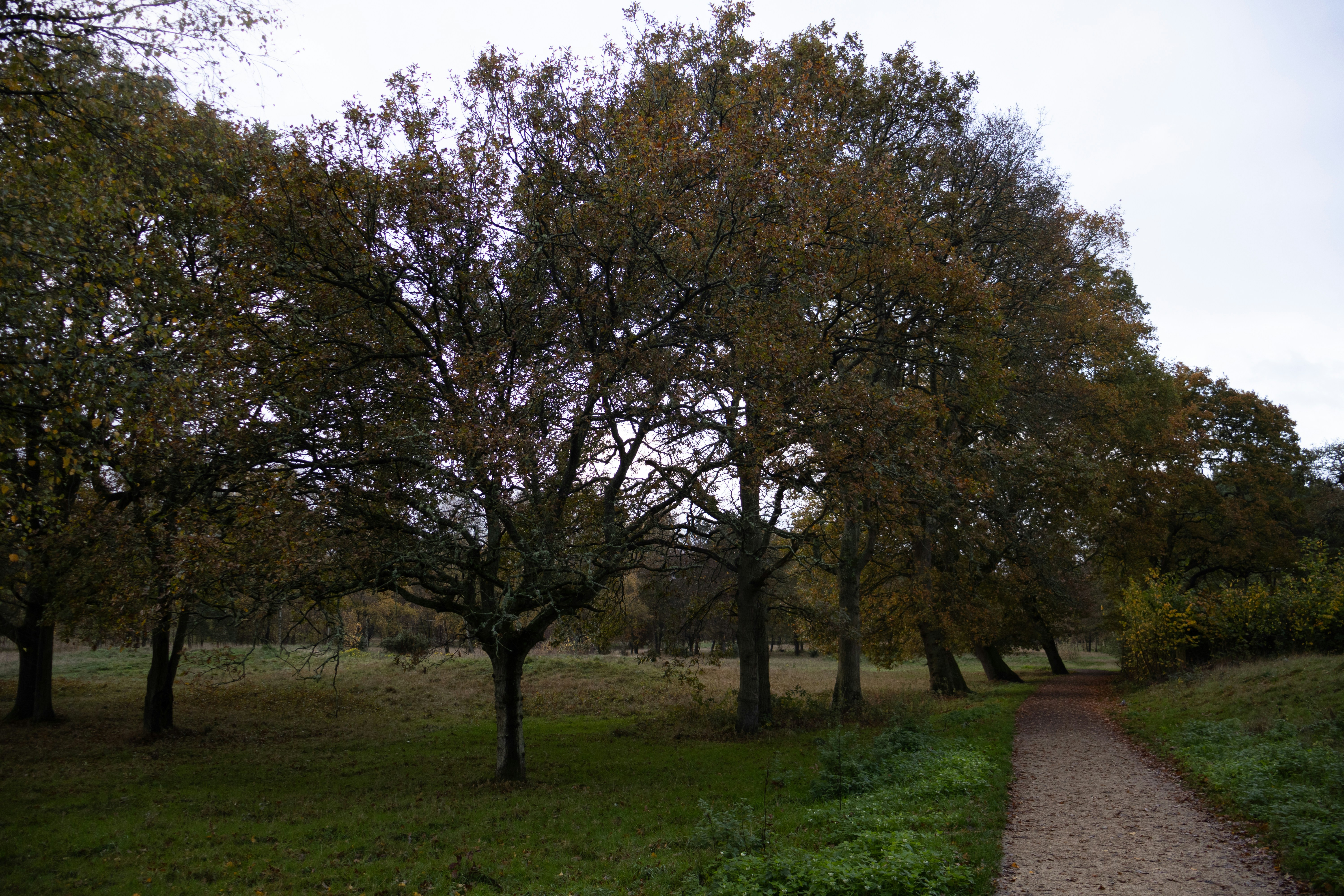 Photo by tanyabarrow