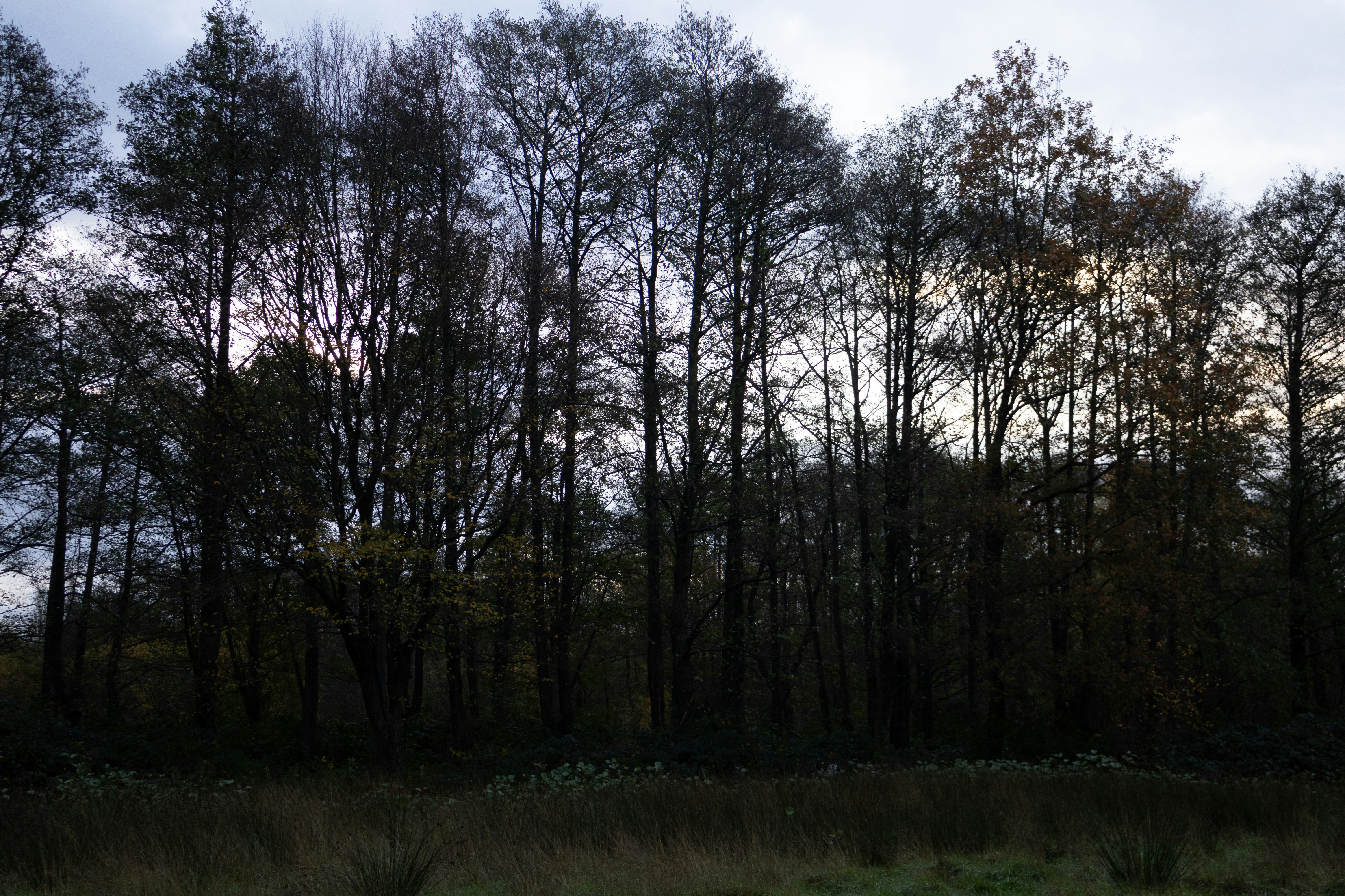 Photo by tanyabarrow