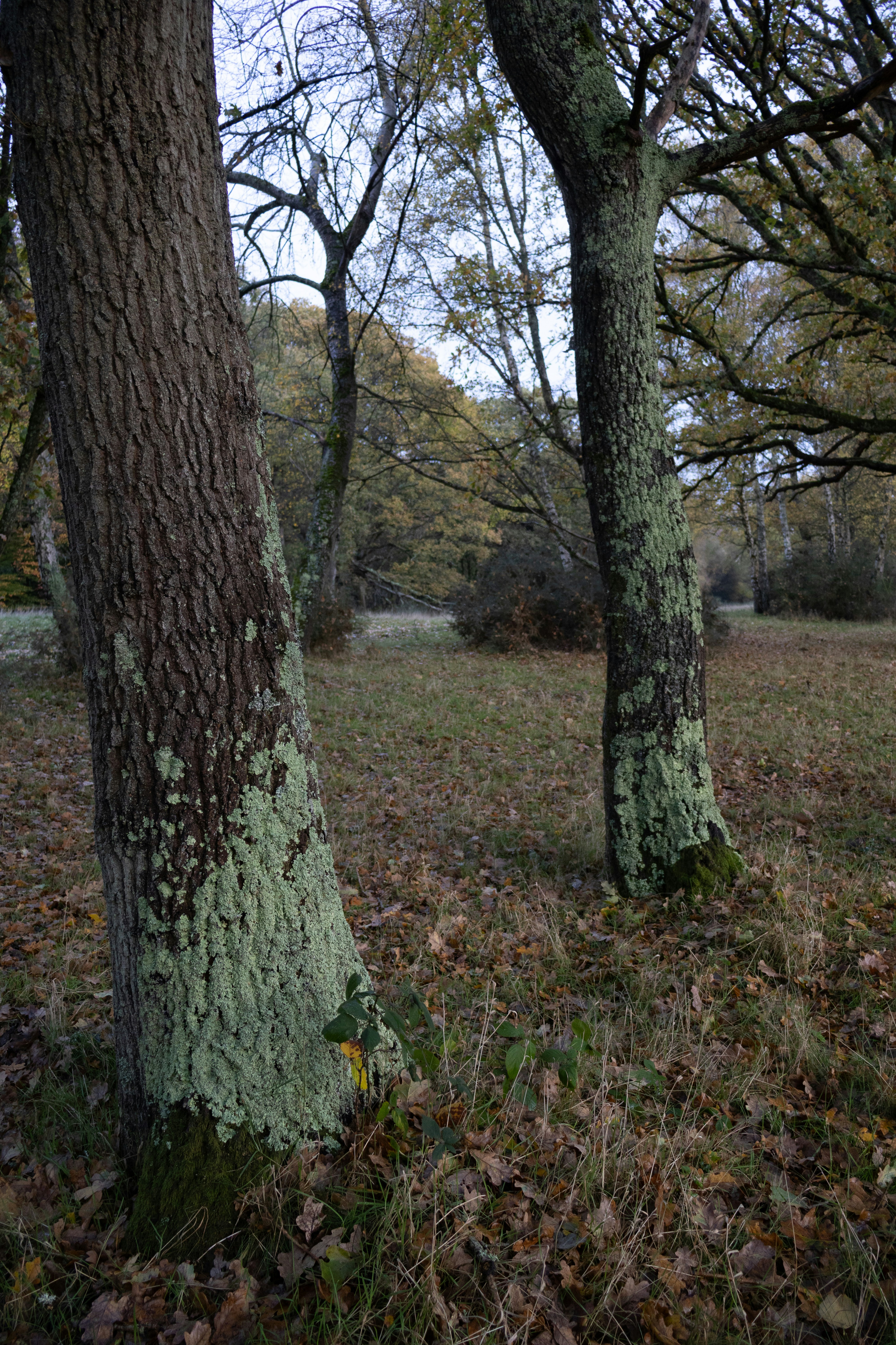 Photo by tanyabarrow