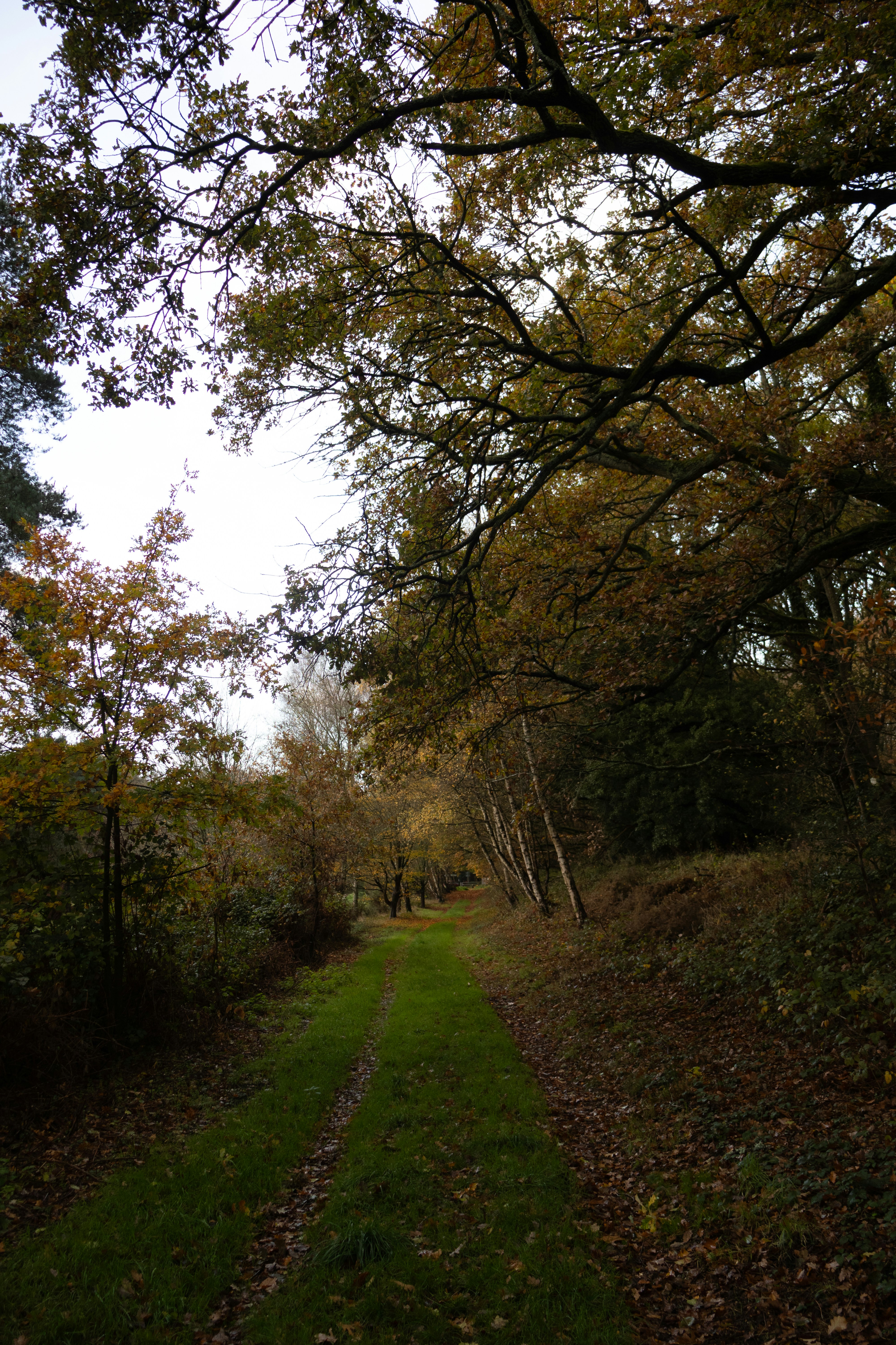 Photo by tanyabarrow