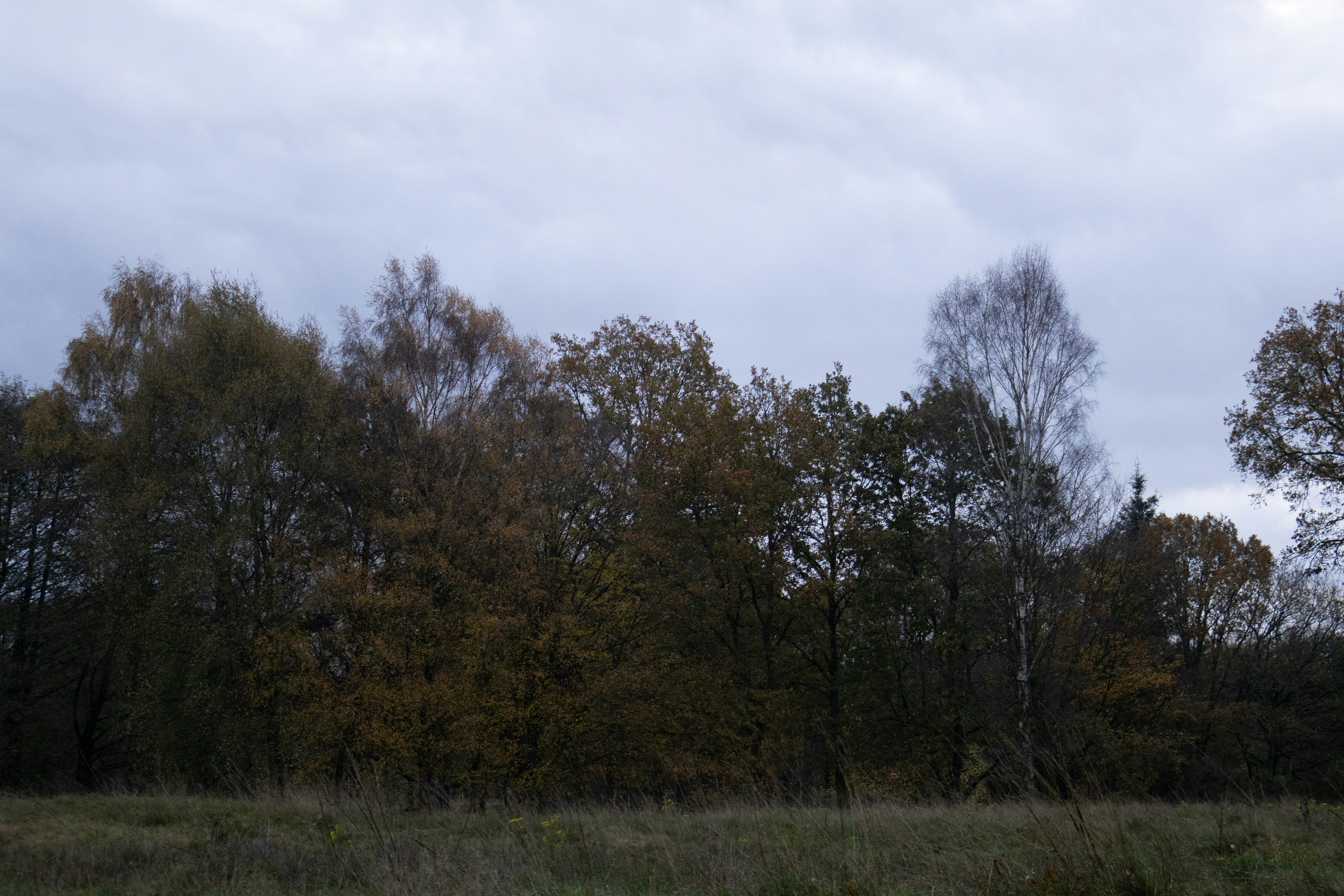 Photo by tanyabarrow