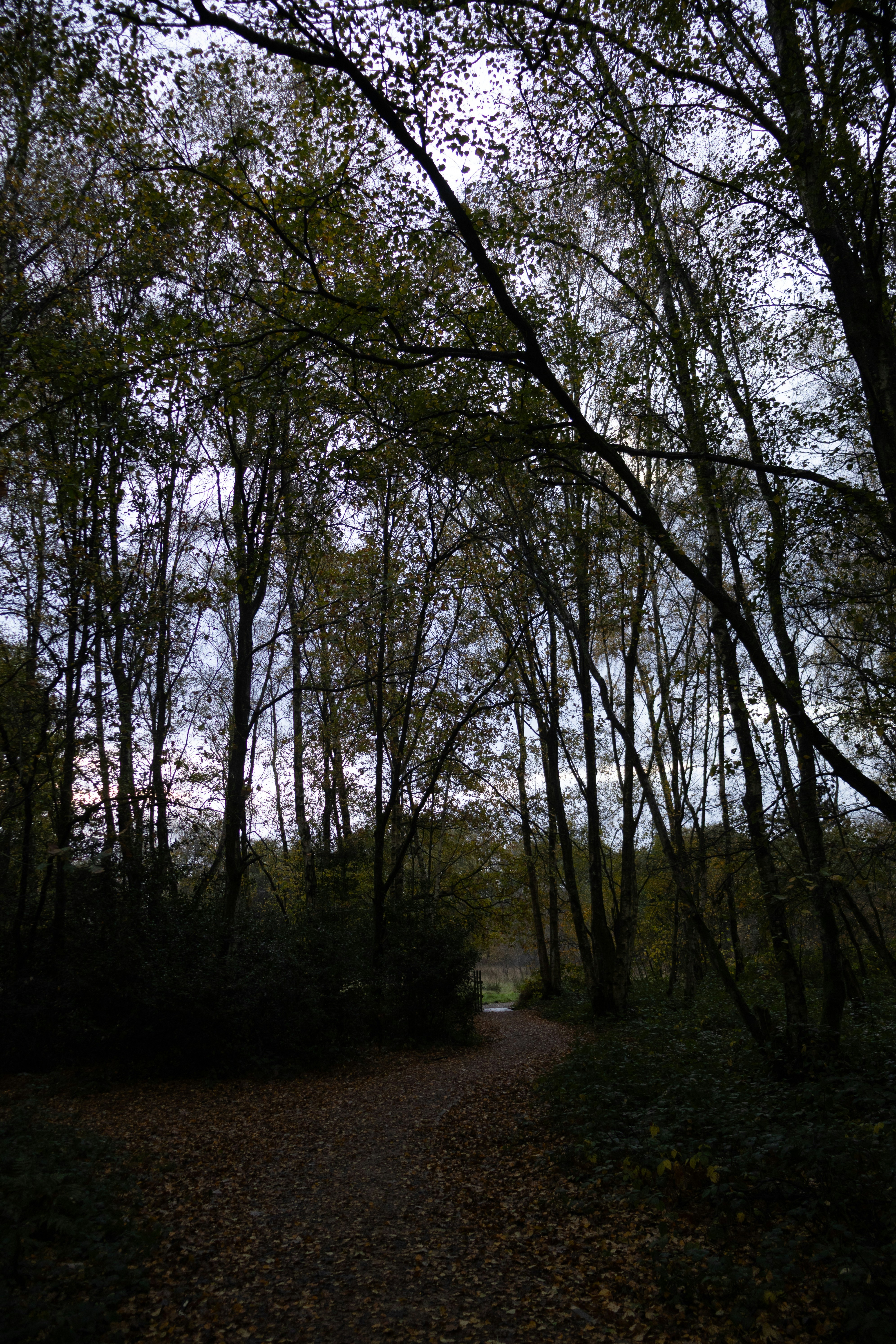 Photo by tanyabarrow