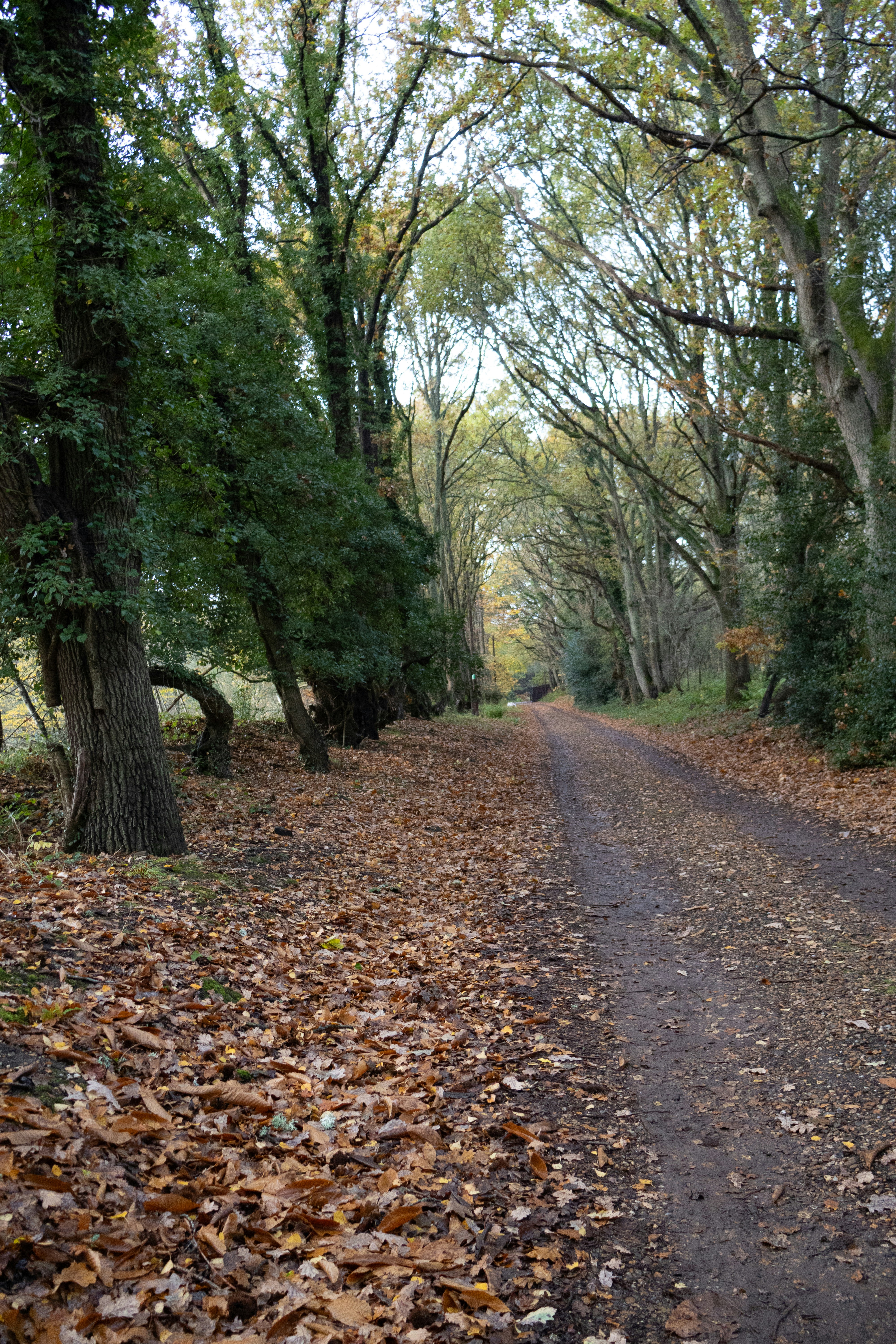 Photo by tanyabarrow