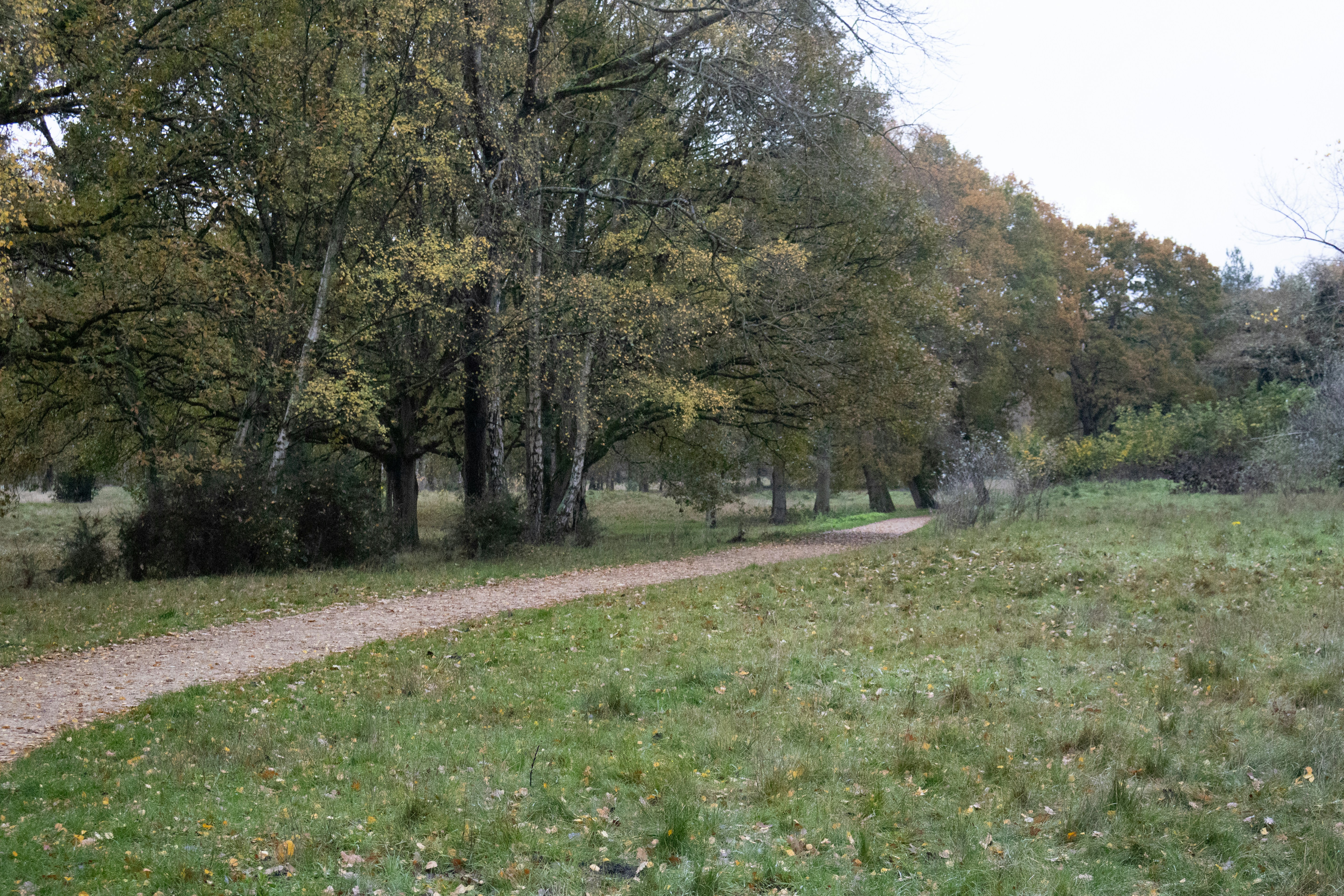 Photo by tanyabarrow