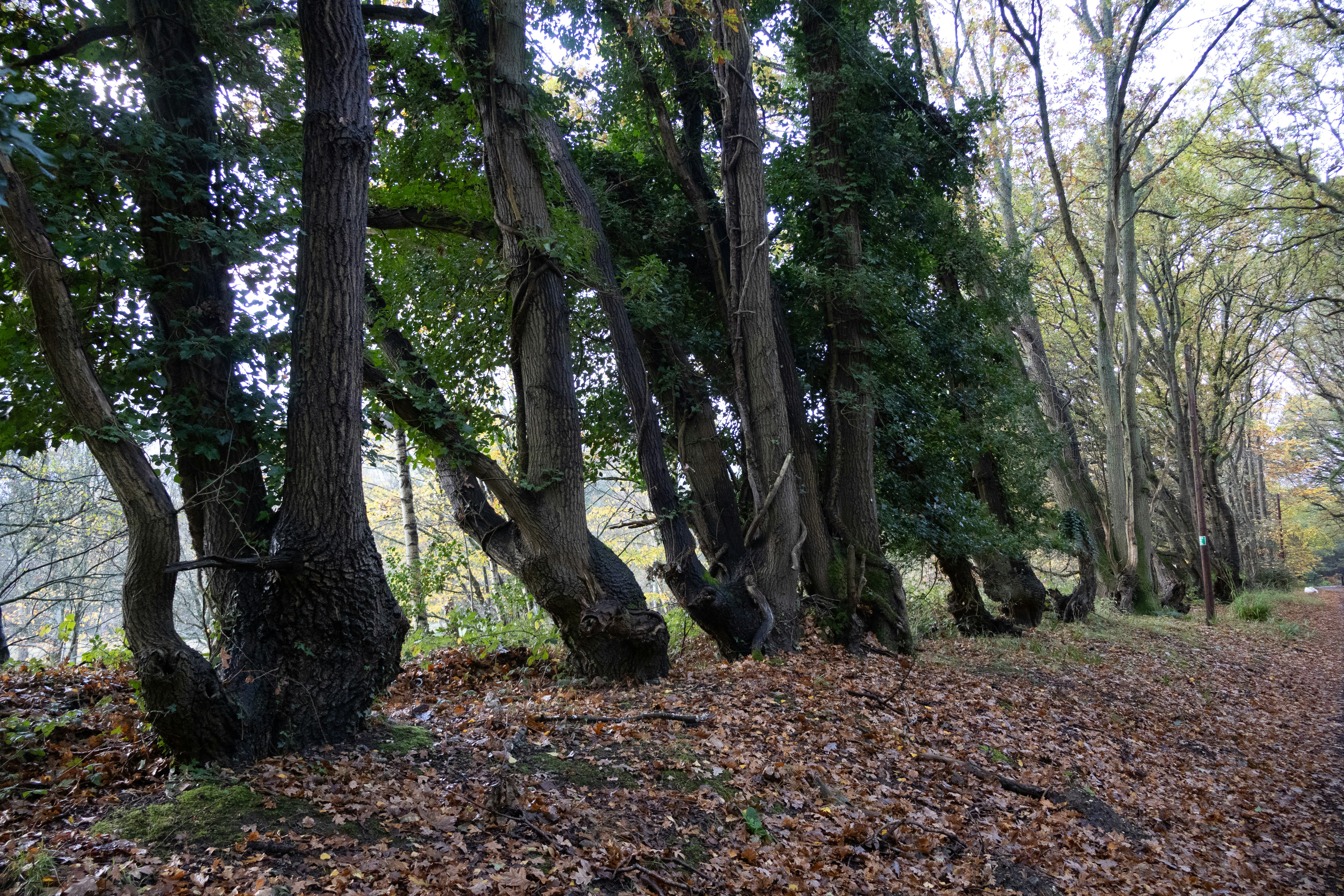 Photo by tanyabarrow