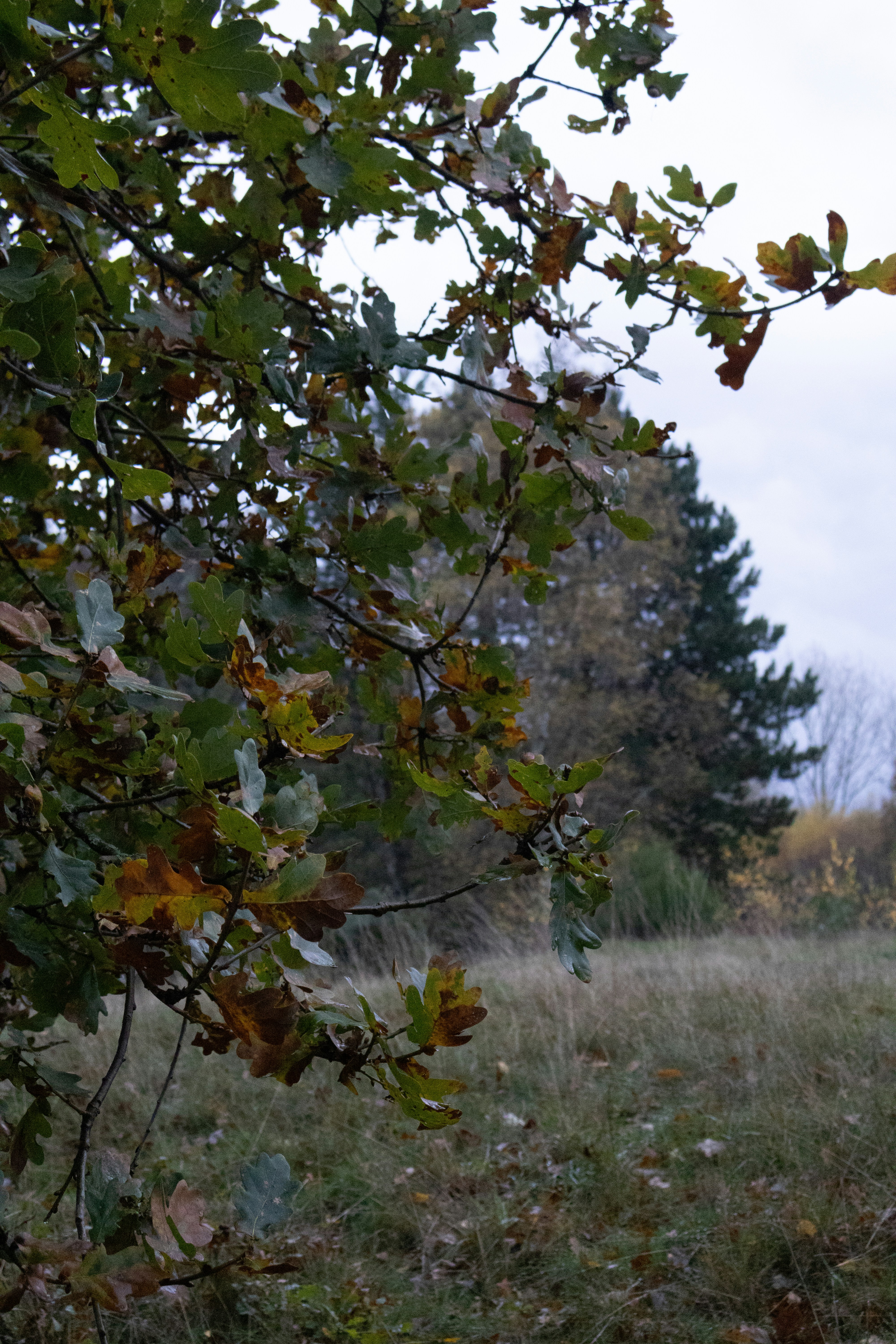 Photo by tanyabarrow