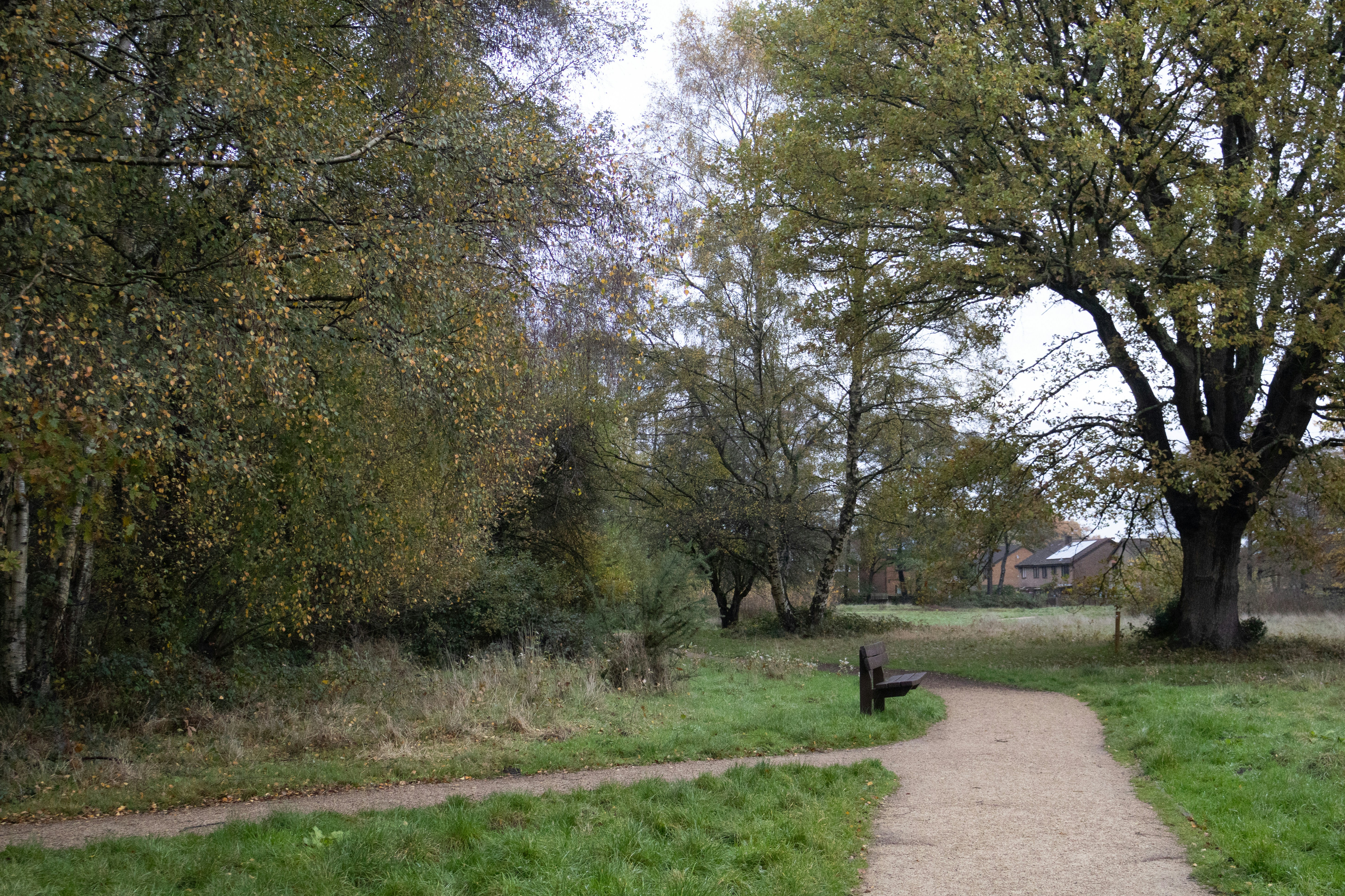 Photo by tanyabarrow