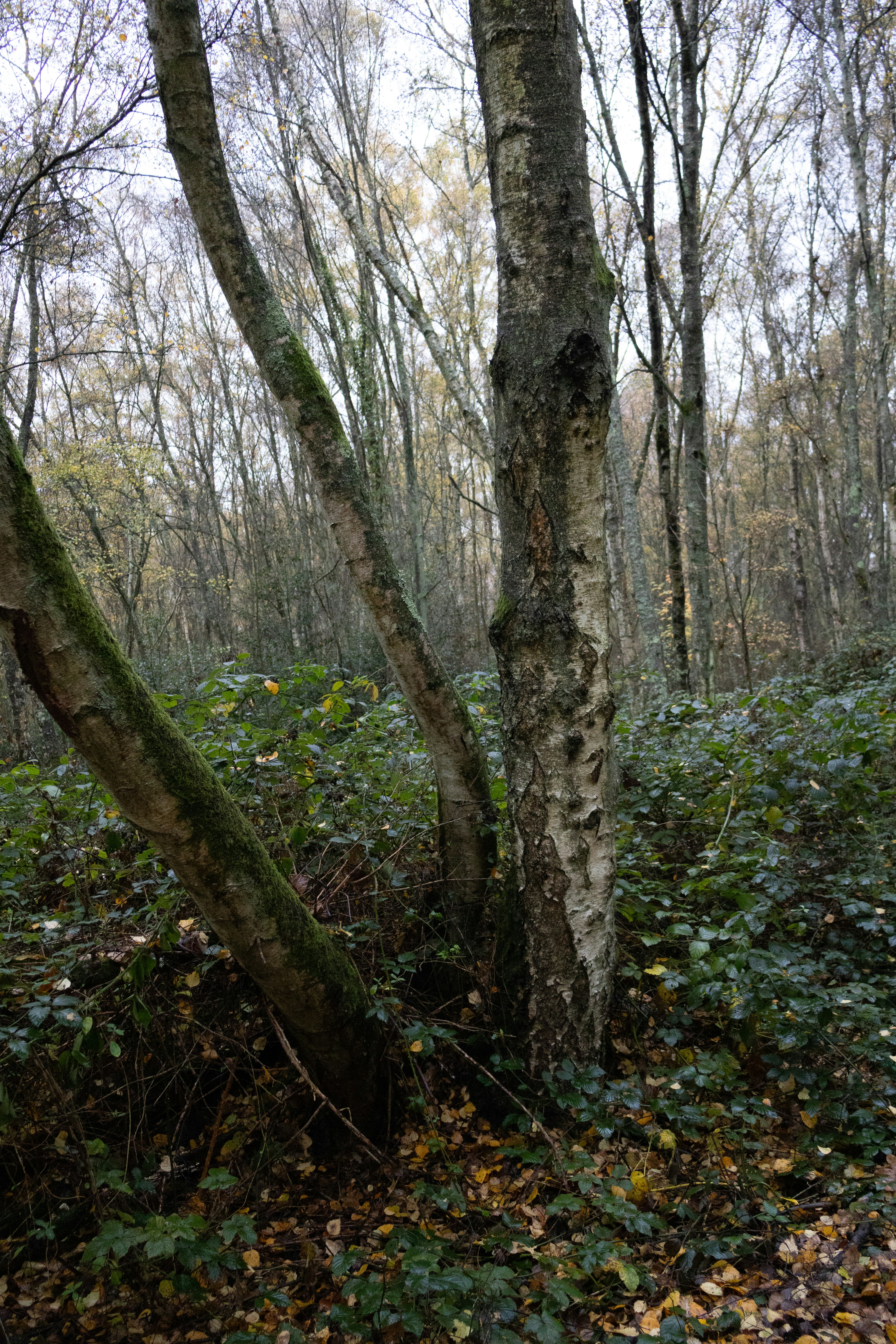 Photo by tanyabarrow