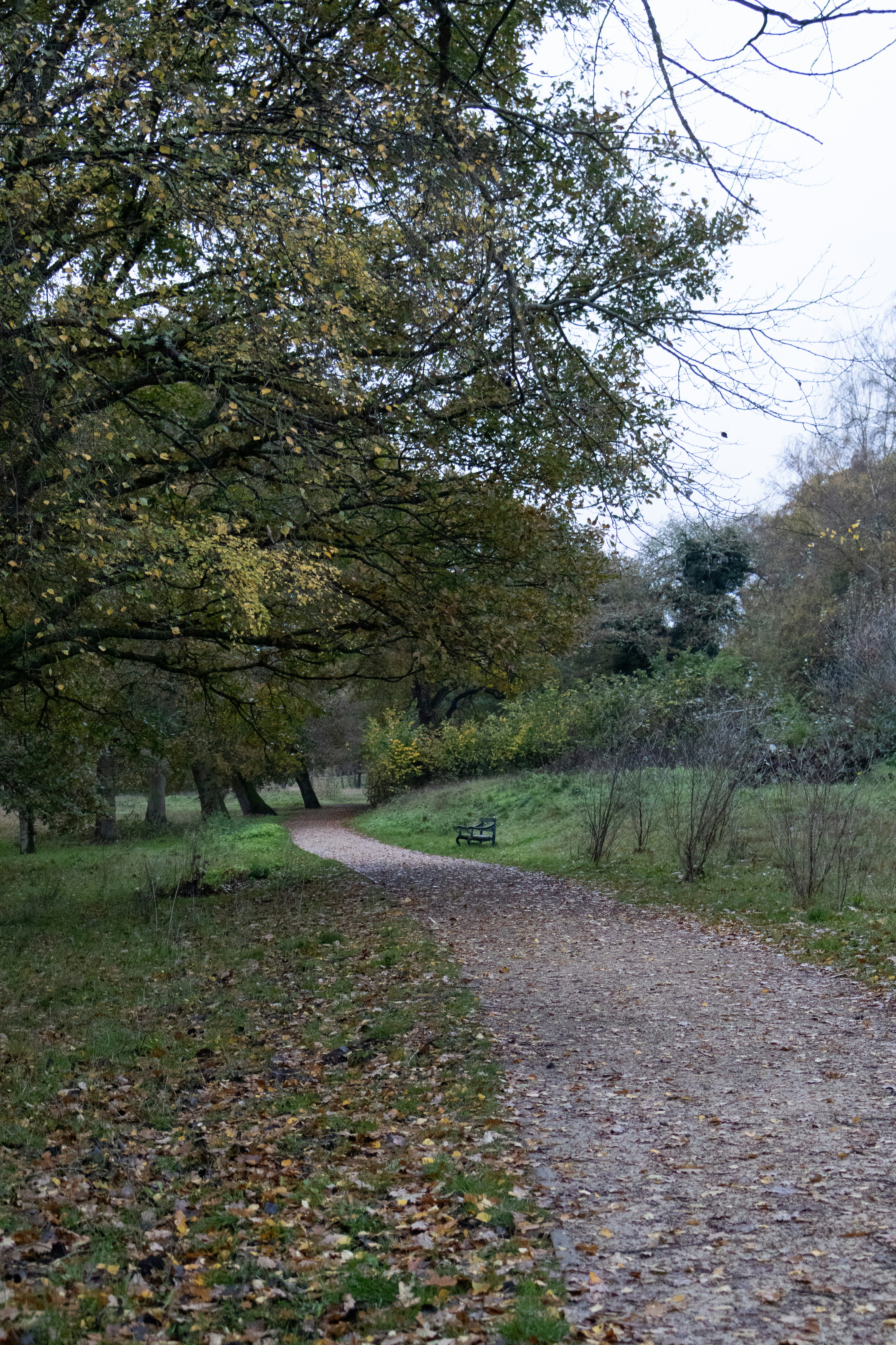 Photo by tanyabarrow