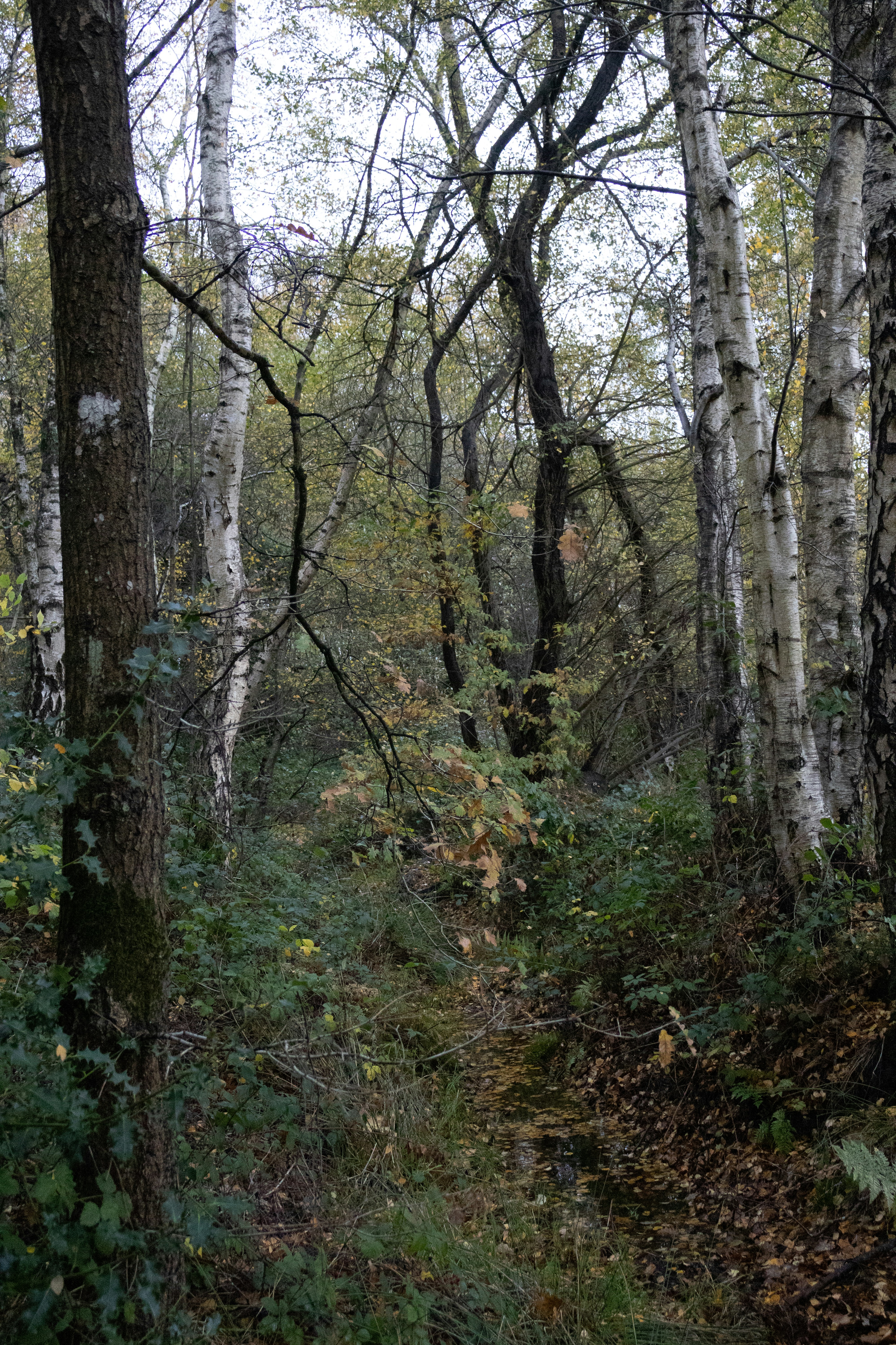 Photo by tanyabarrow