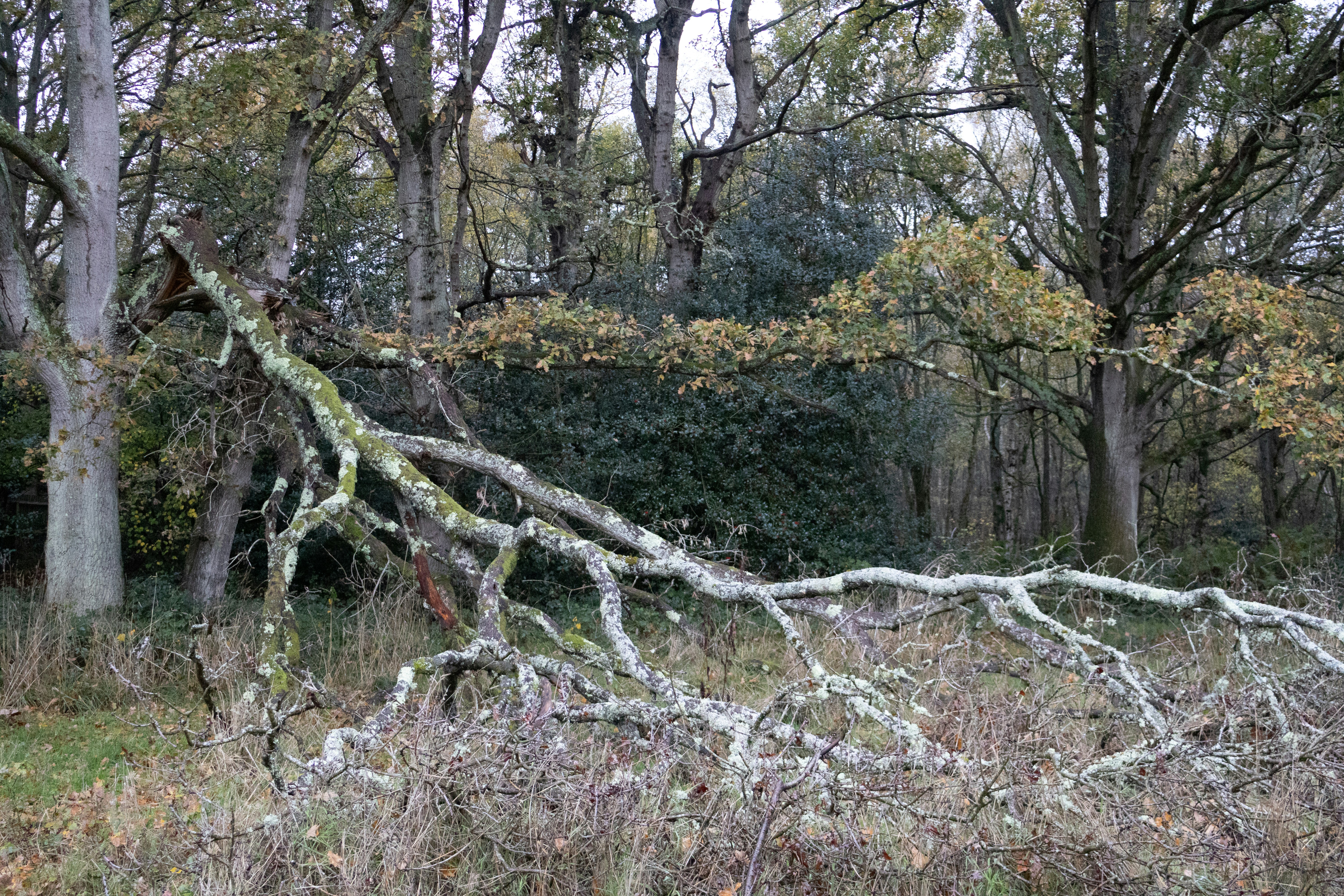 Photo by tanyabarrow