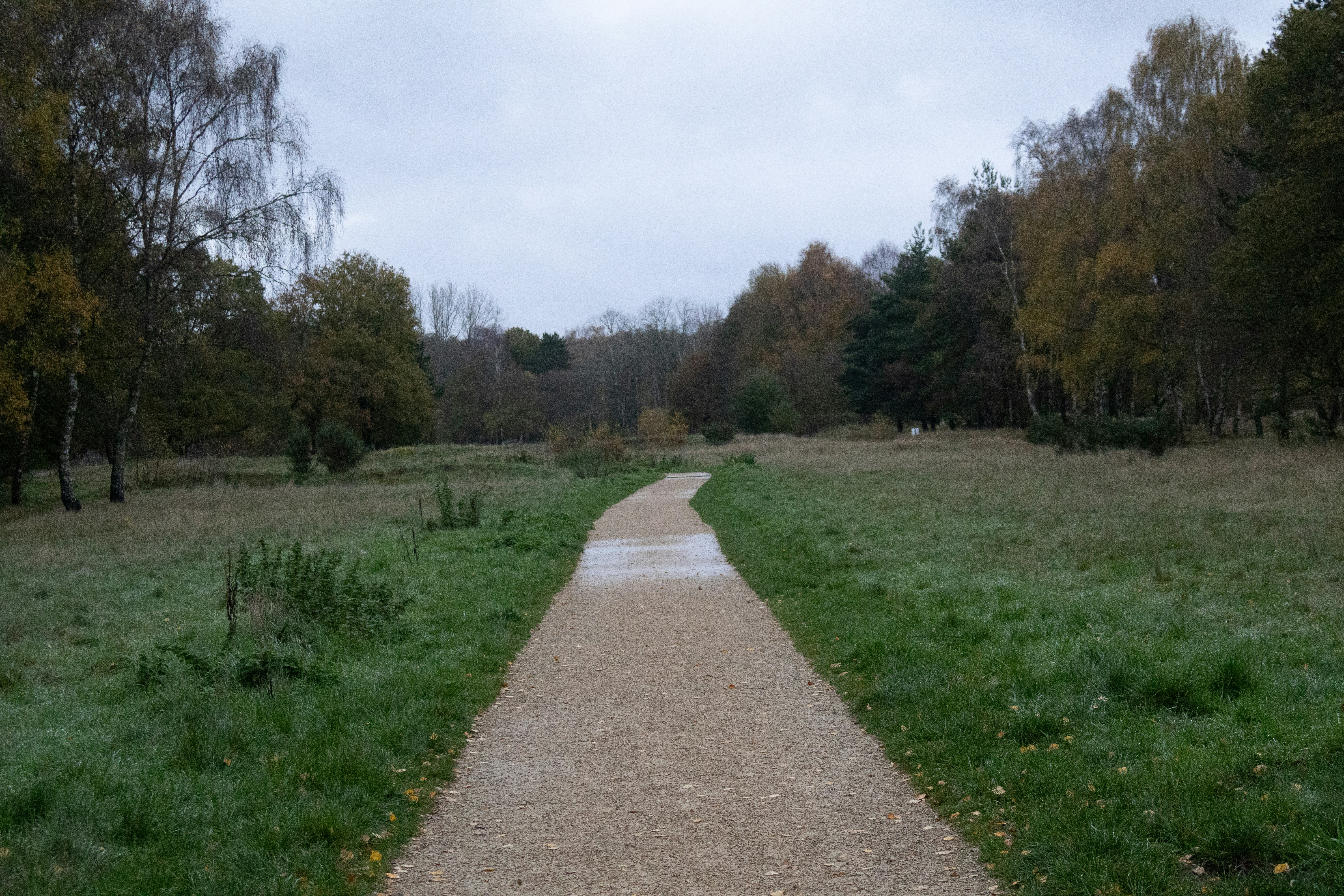 Photo by tanyabarrow