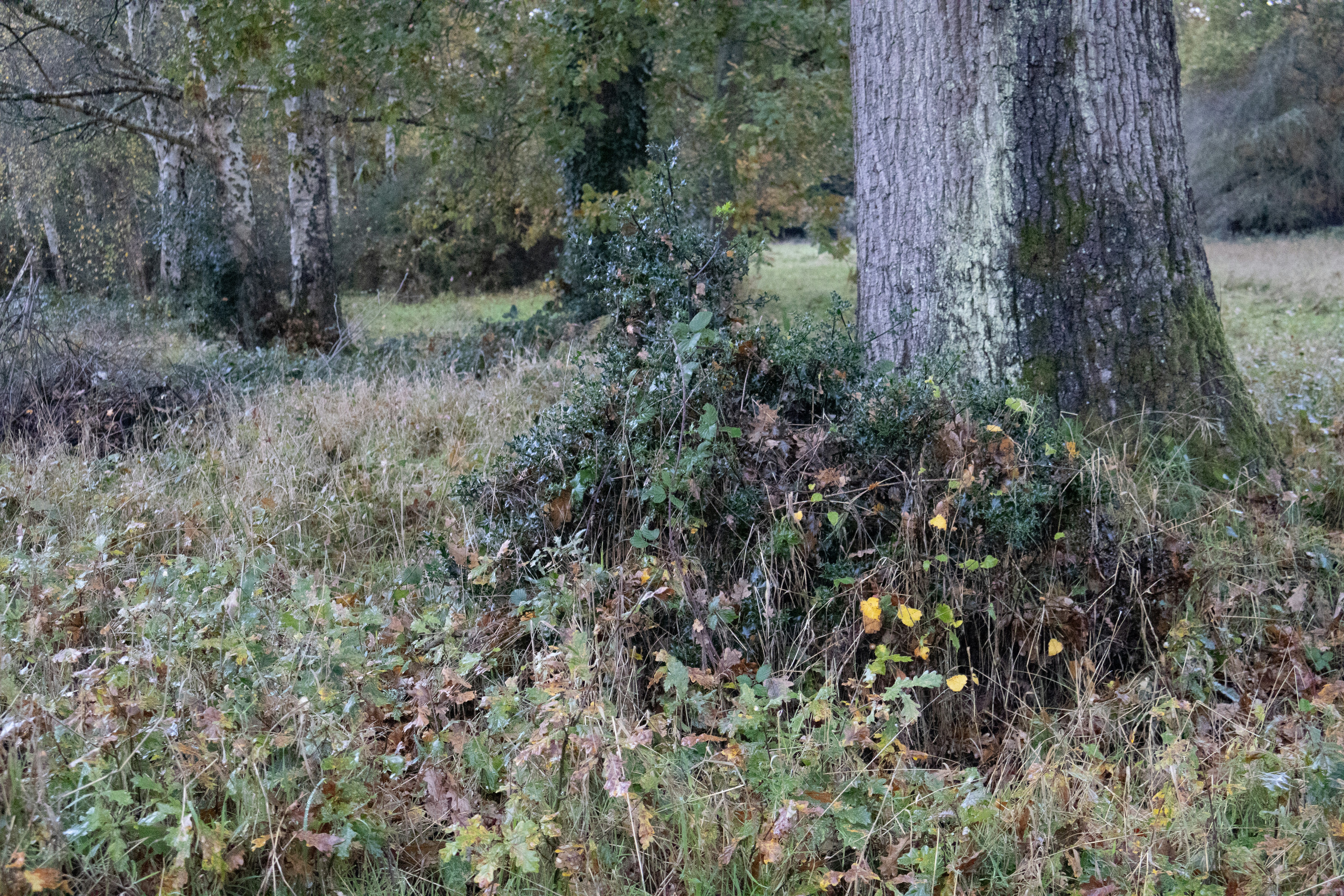 Photo by tanyabarrow