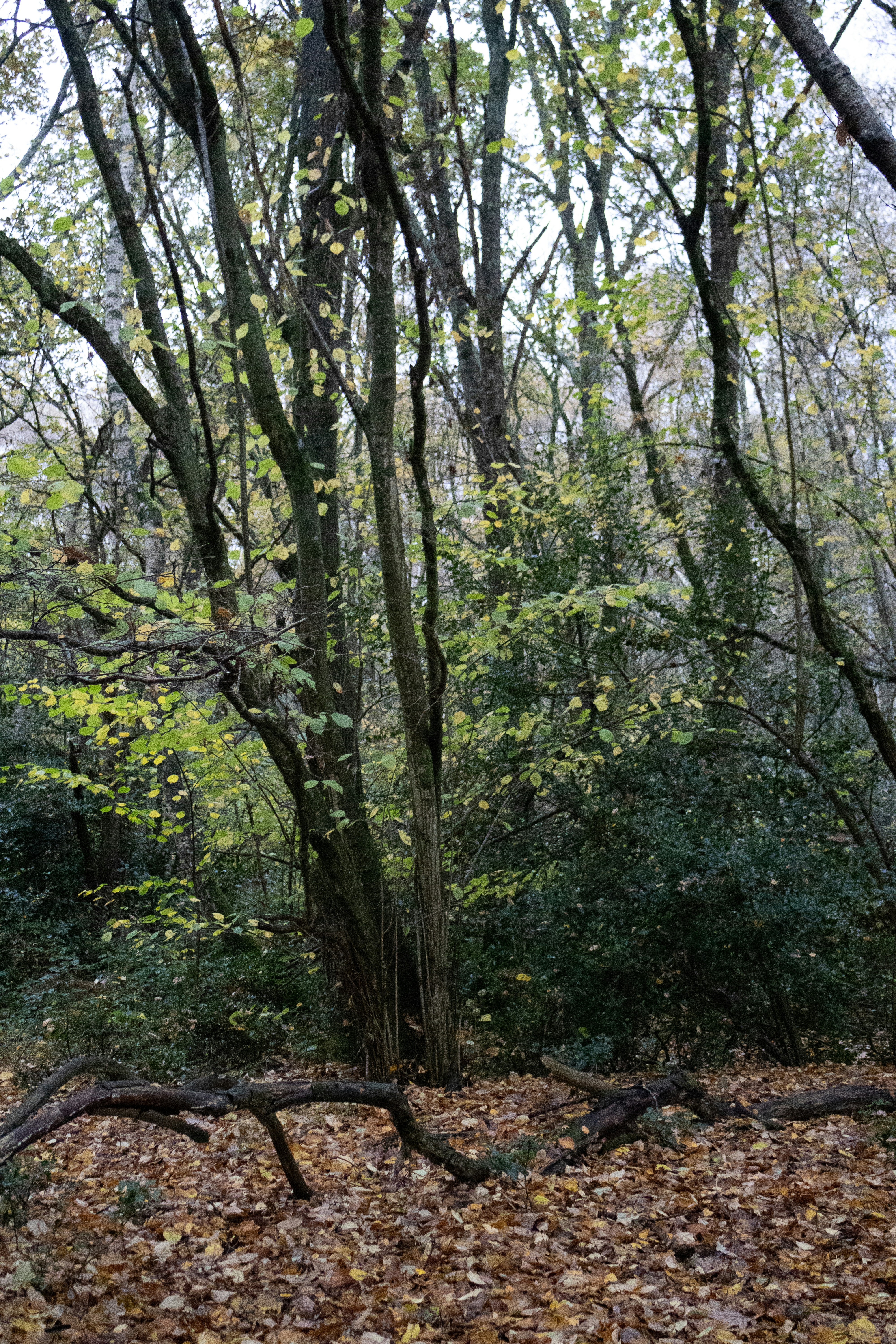 Photo by tanyabarrow