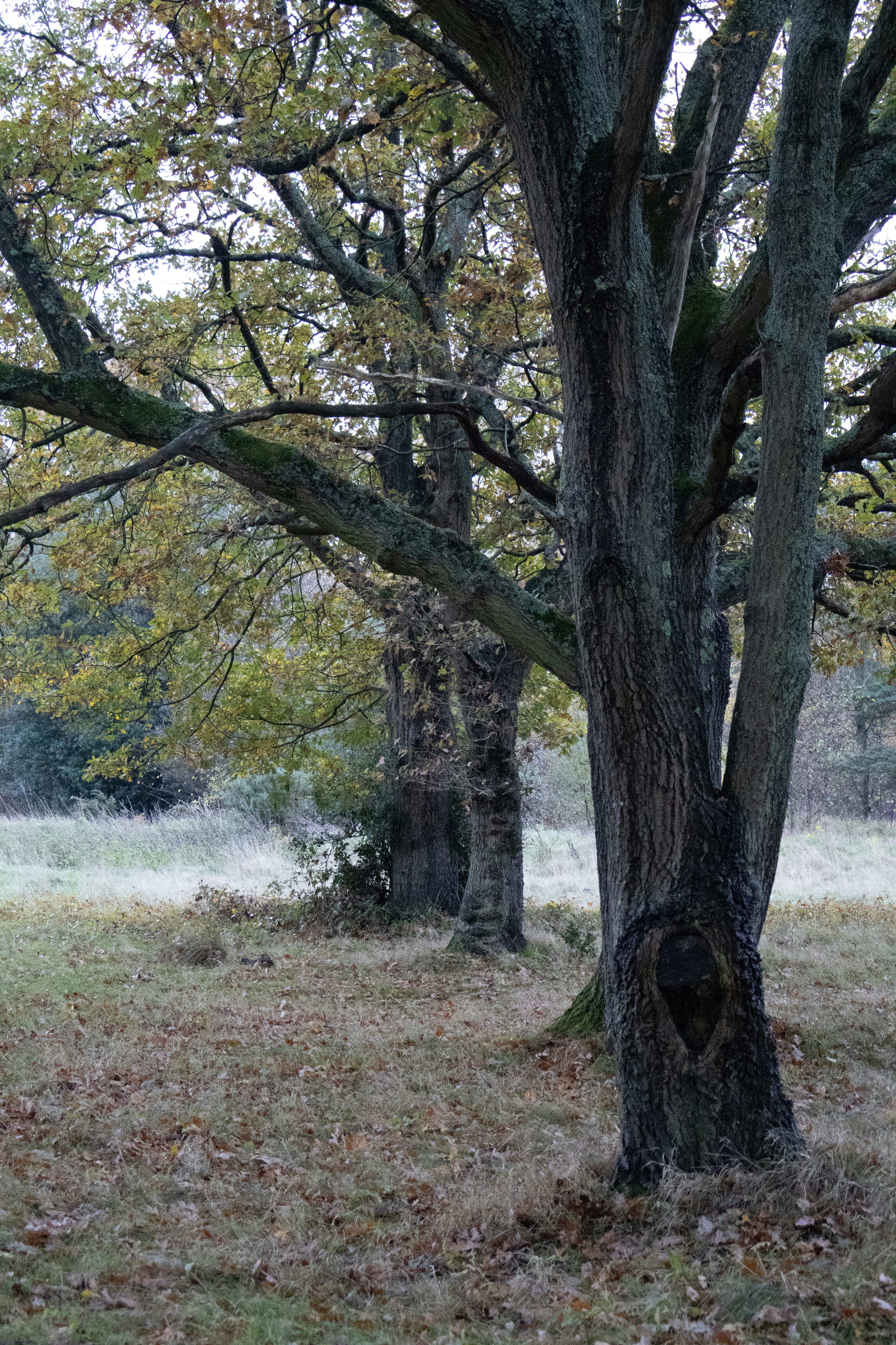 Photo by tanyabarrow