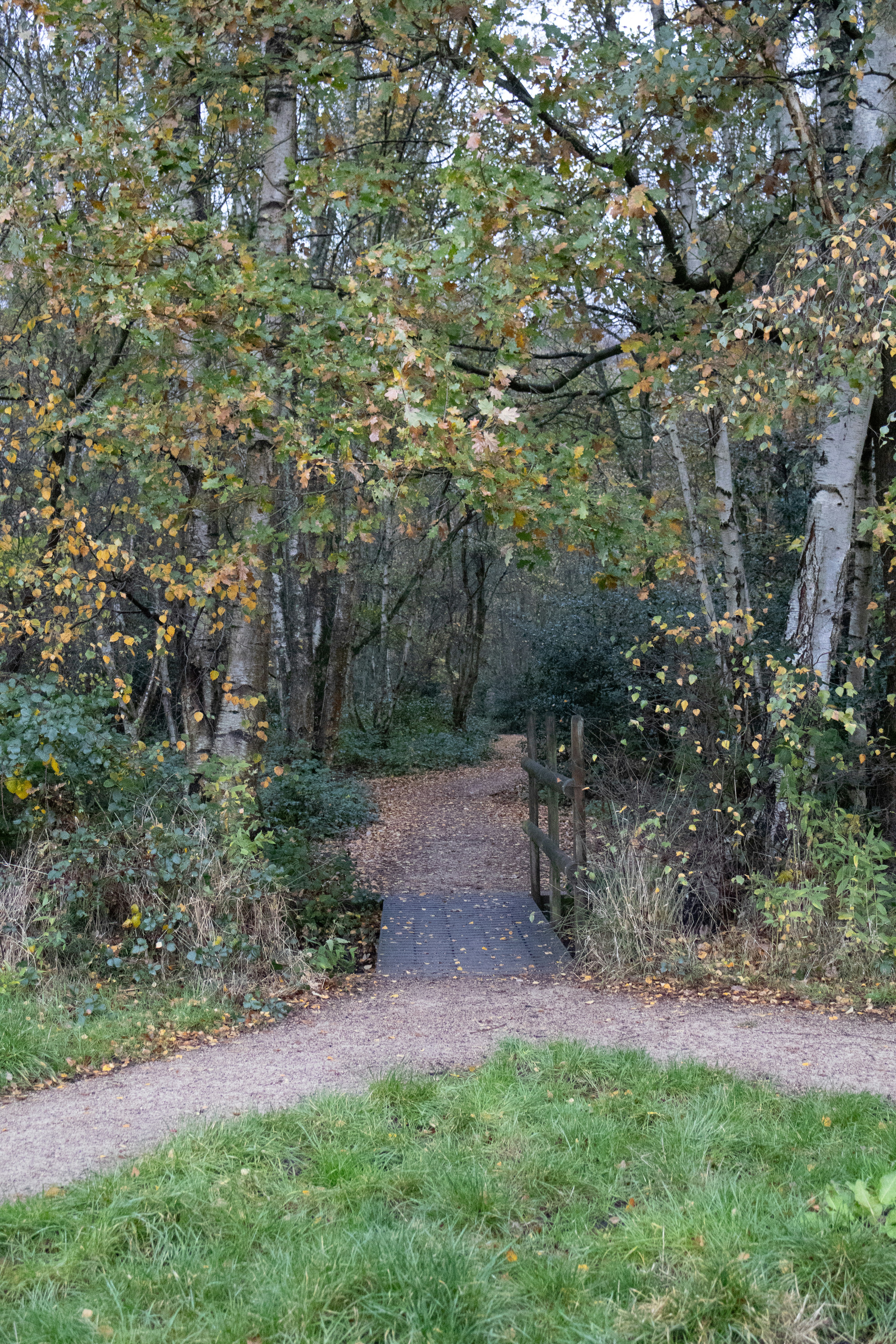 Photo by tanyabarrow